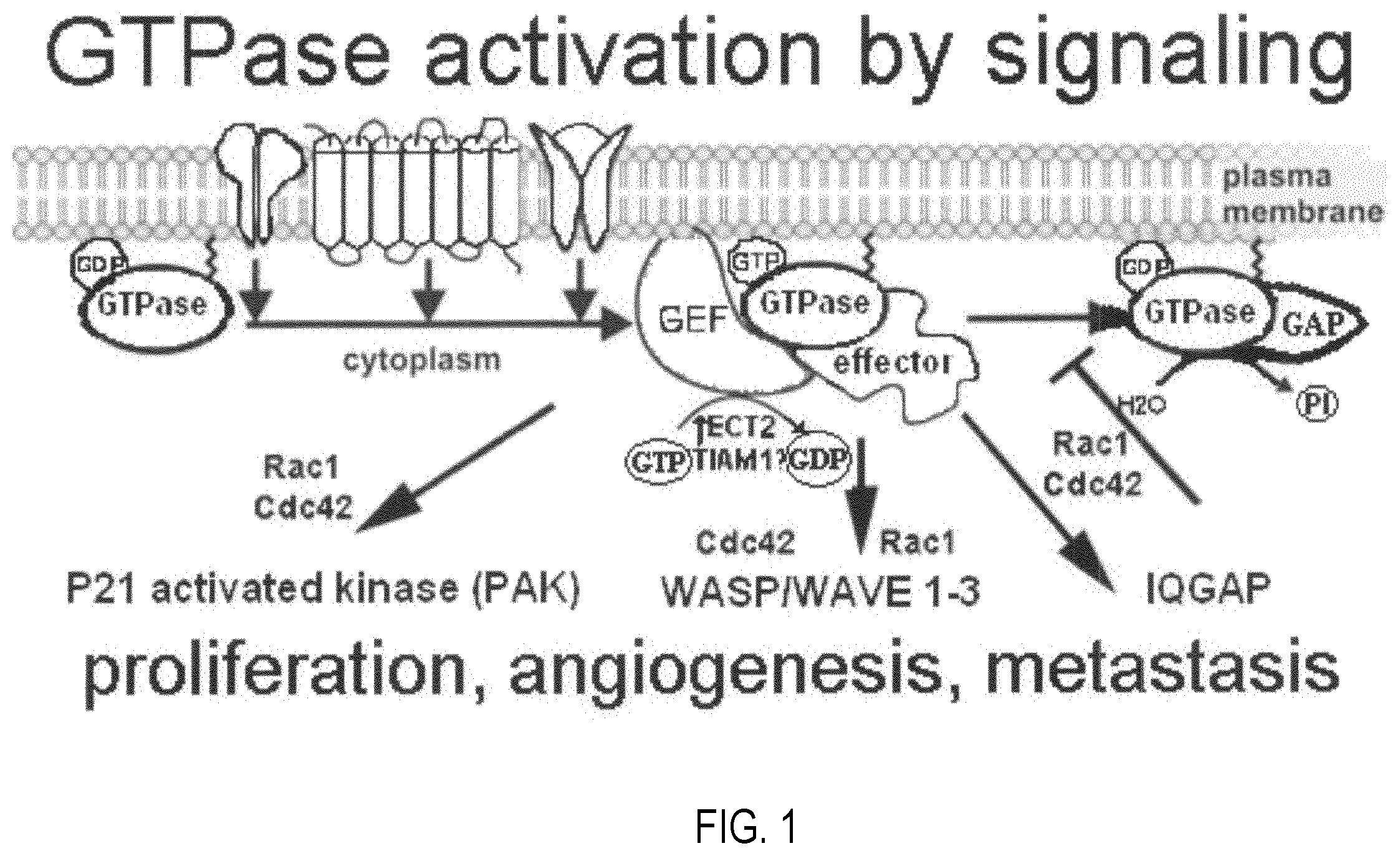 Patent US12377072 — Modulators of GTPases and their use — Figure 1