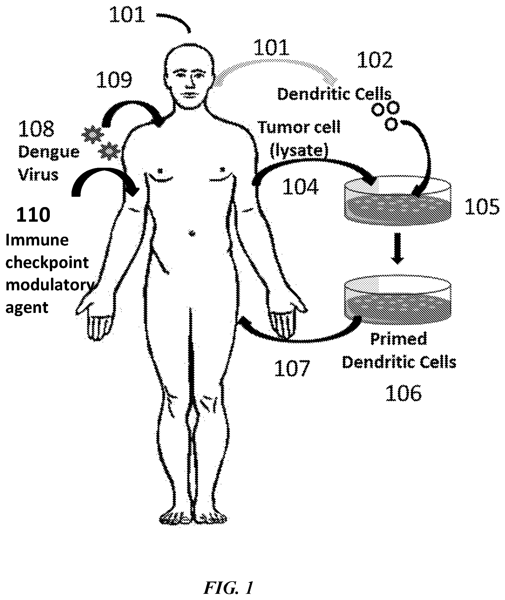 Patent US12377115 — Combination immunotherapies for treatment of cancer — Figure 1