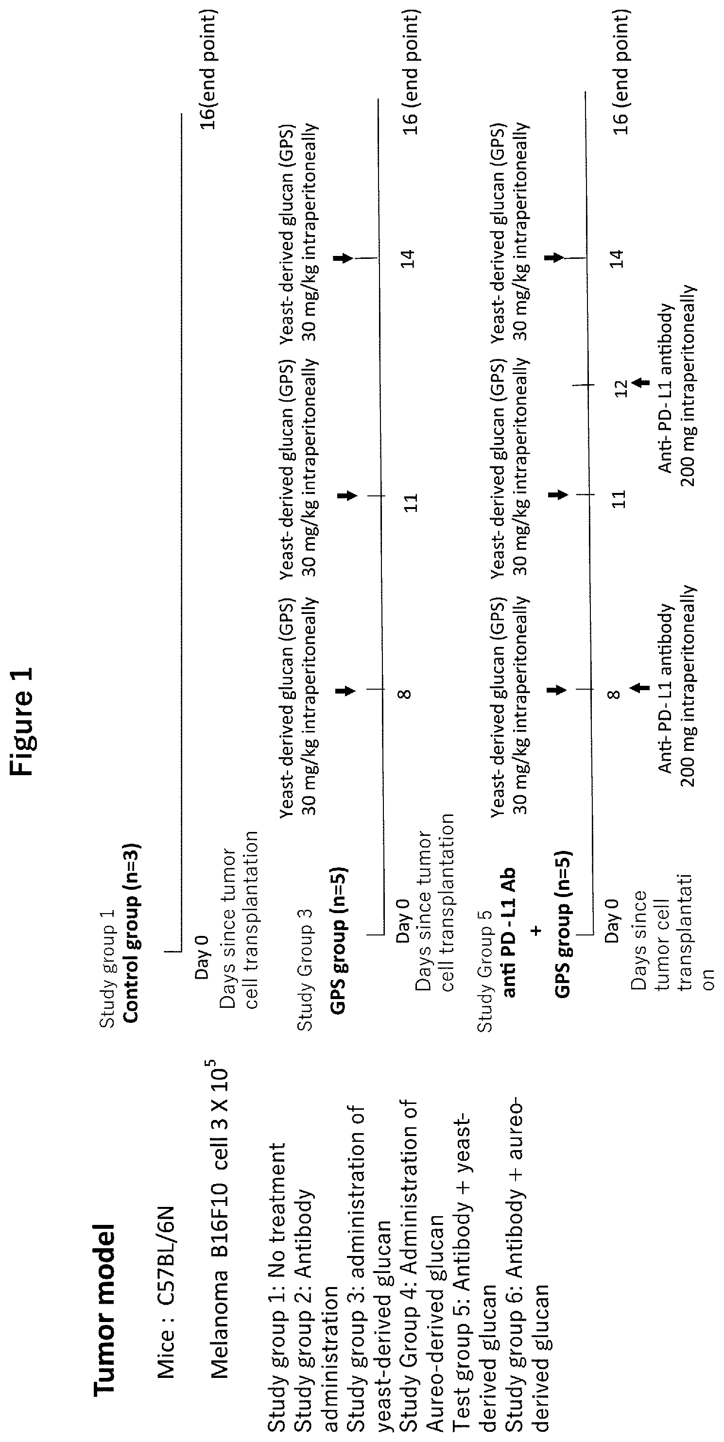 Patent US12377116 — Composition for enhancing effect of antibody drug — Figure 1