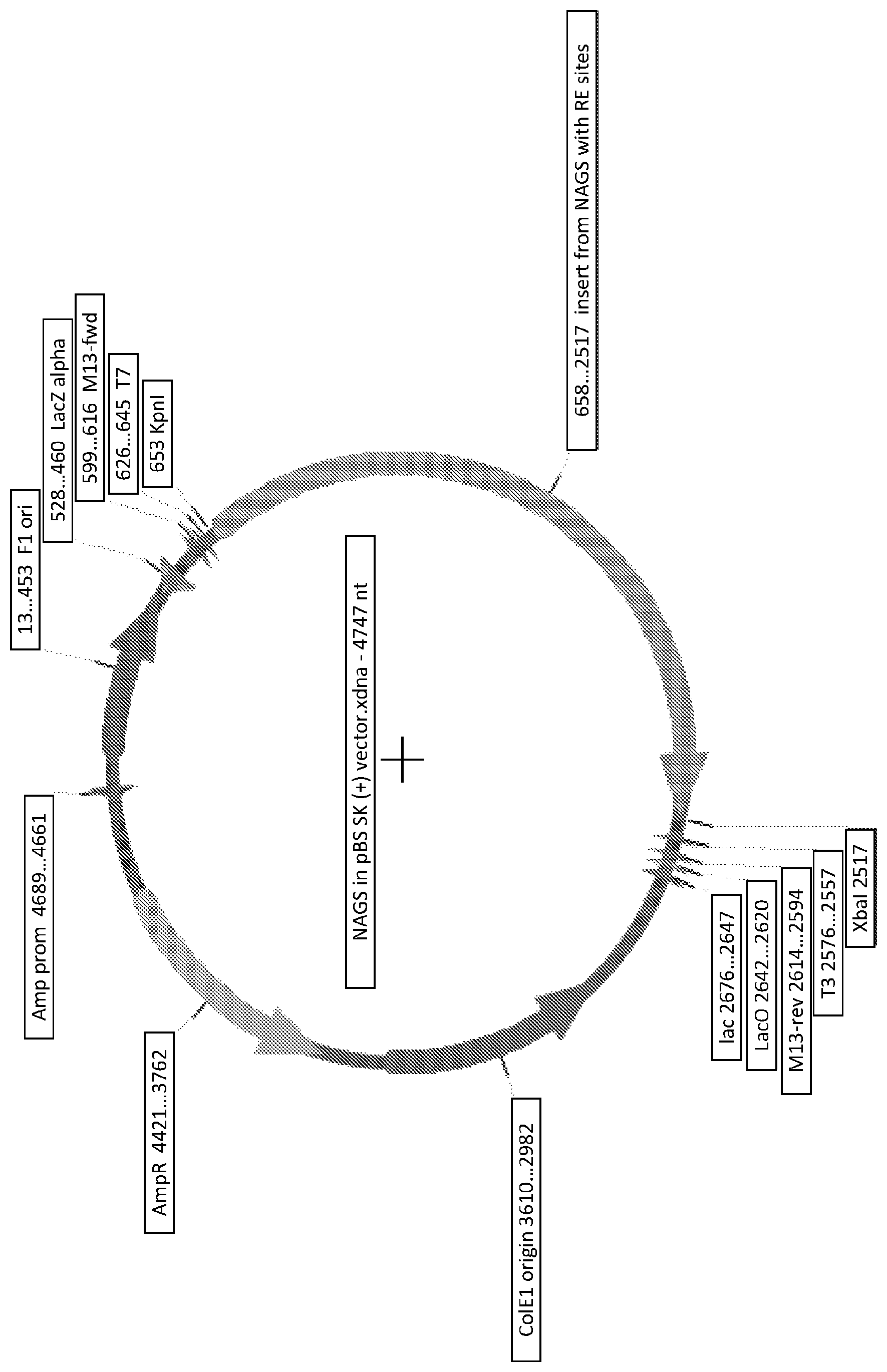 Patent US12377120 — Exosomes and methods of use thereof — Figure 1