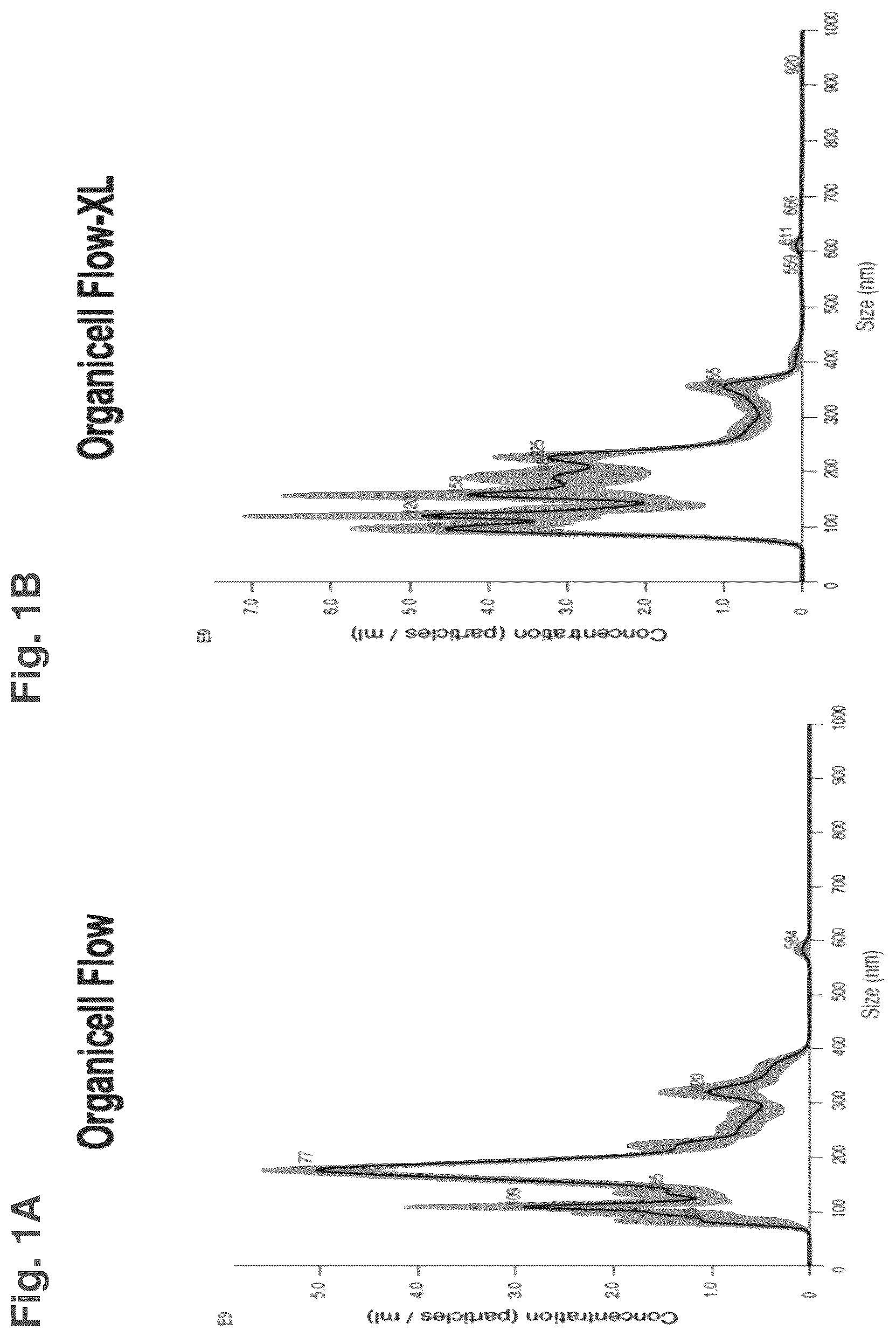 Patent US12377121 — Compositions comprising nanoparticles, method of making and uses thereof — Figure 1