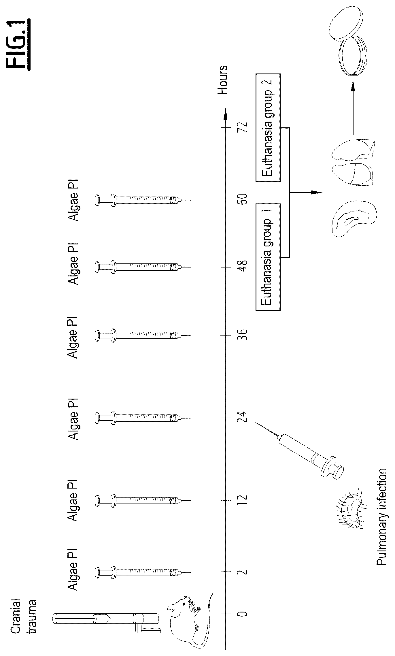 Patent US12377126 Figure 1 – Algal extract for use in the treatment or prevention of post-traumatic immunosuppression