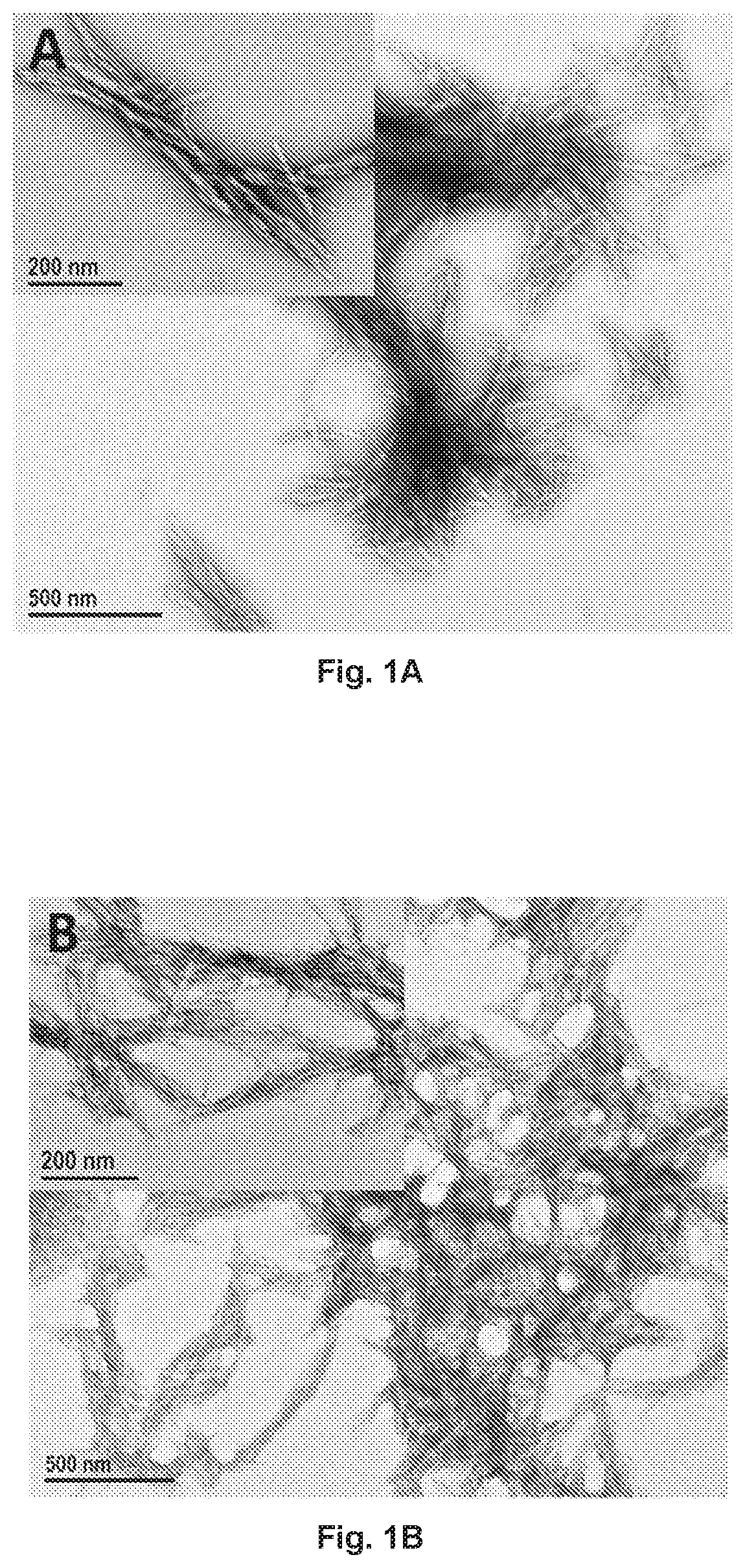 Patent US12377149 Figure 1 – Injectable thermoresponsive hydrogels as a combinatory modality for controlled drug delivery, biomaterial implant and 3D printing bioink