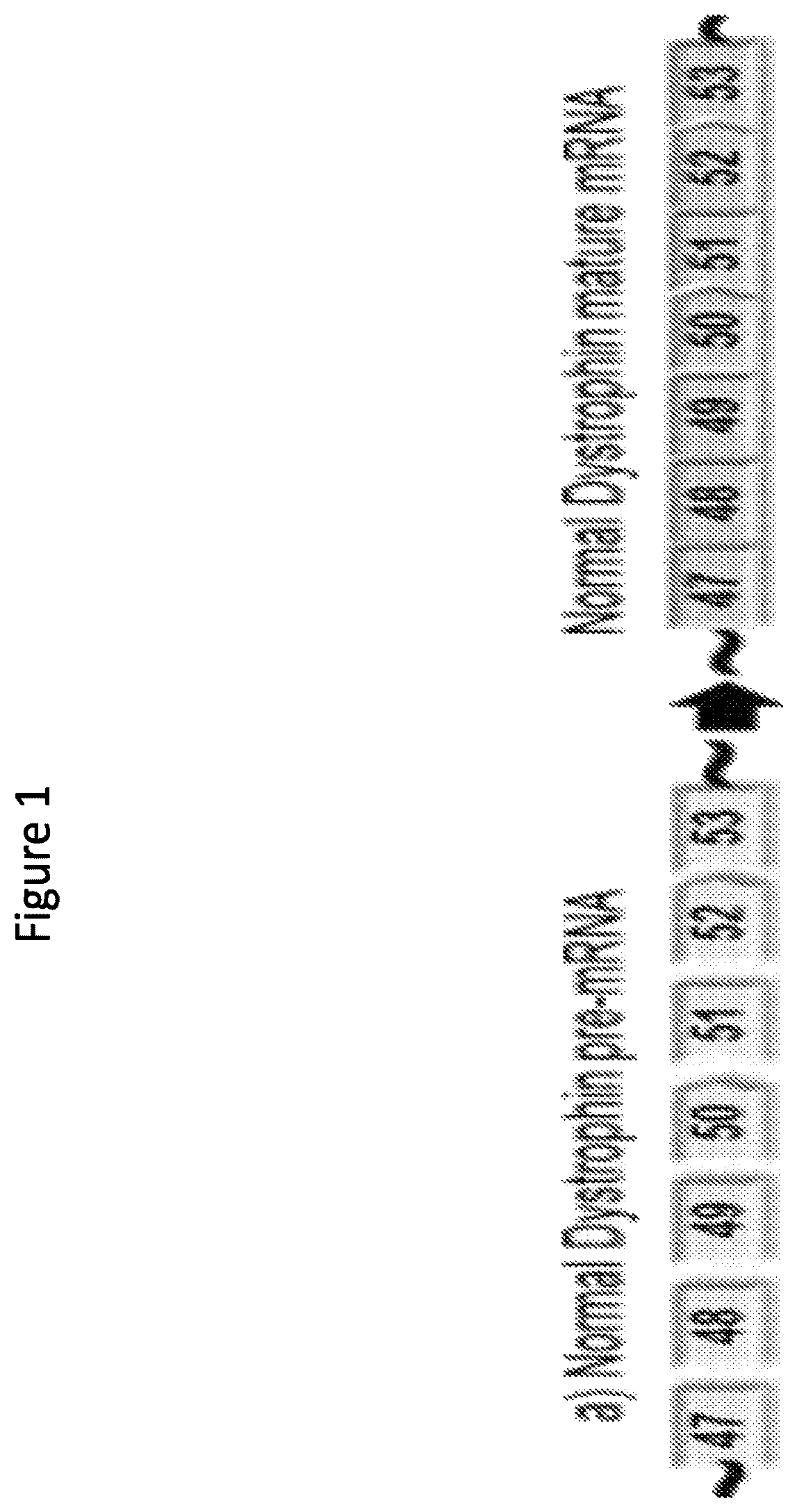 Patent US12377150 — Exon skipping oligomer conjugates for muscular dystrophy — Figure 1