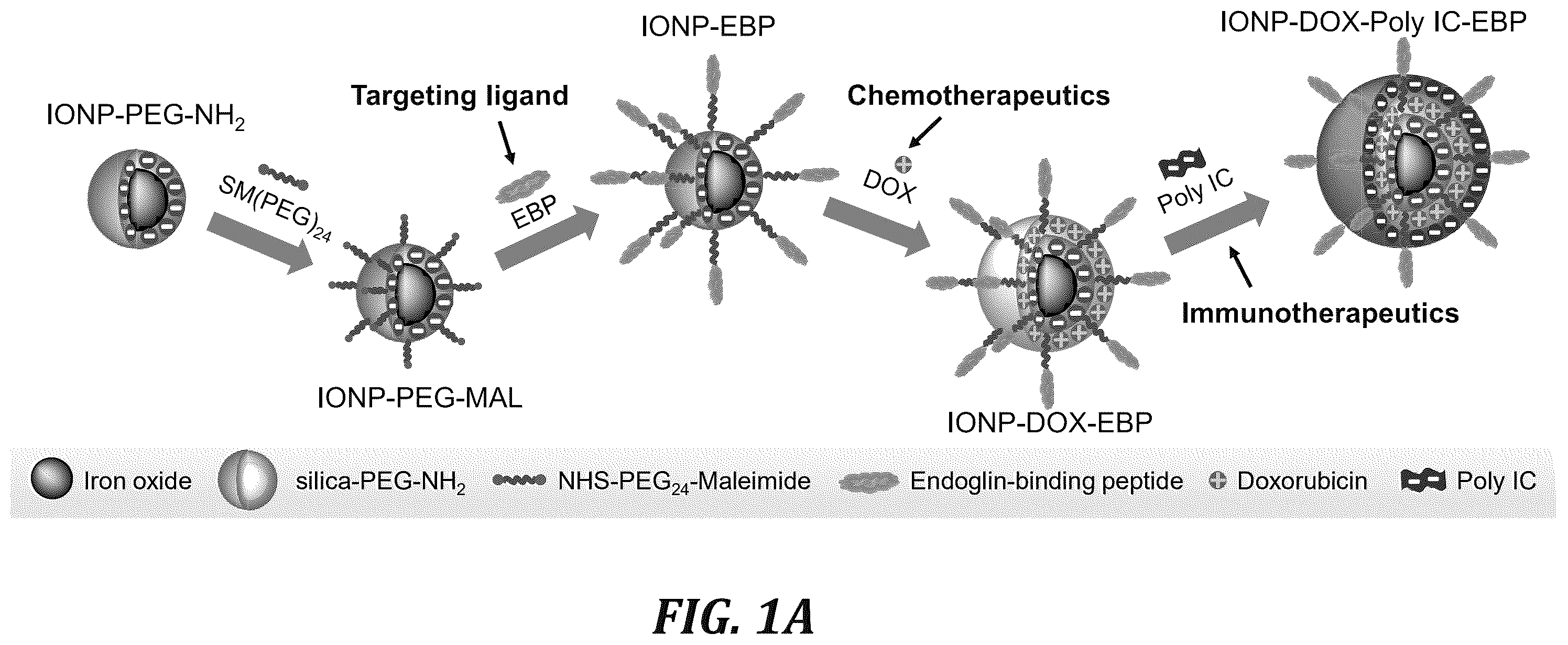 Patent US12377166 — Iron oxide nanoparticle for targeted chemo-immunotherapy — Figure 1