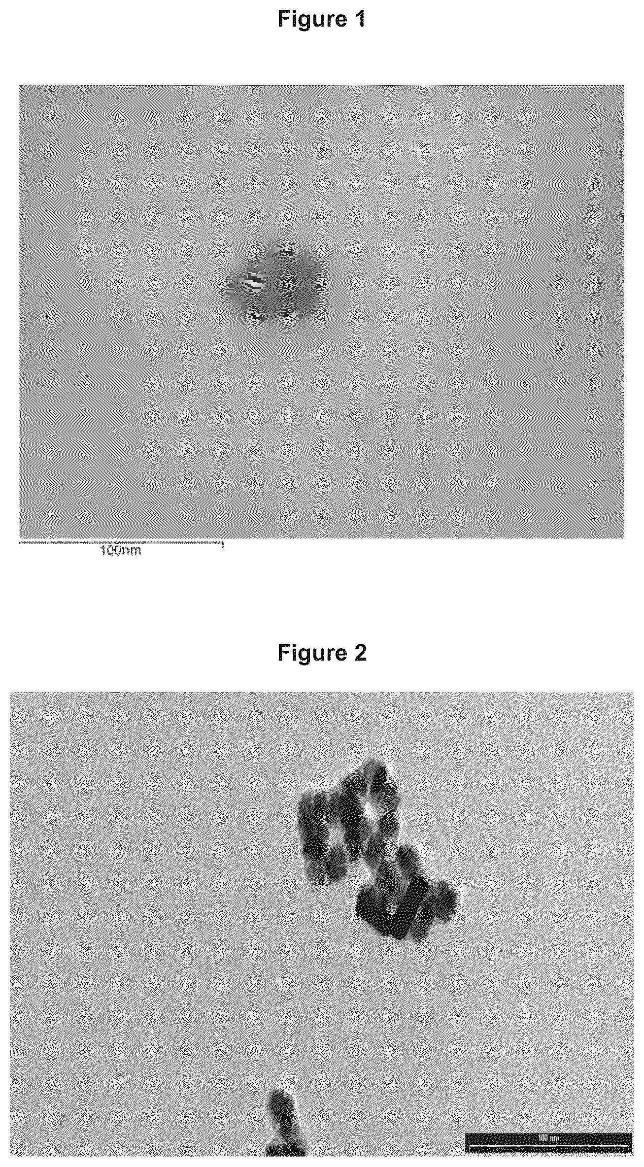 Patent US12377174 — Magnetic nanoparticles functionalized with N-(3,4-dihydroxyphenethyl)dodecanamide, production and use thereof — Figure 1