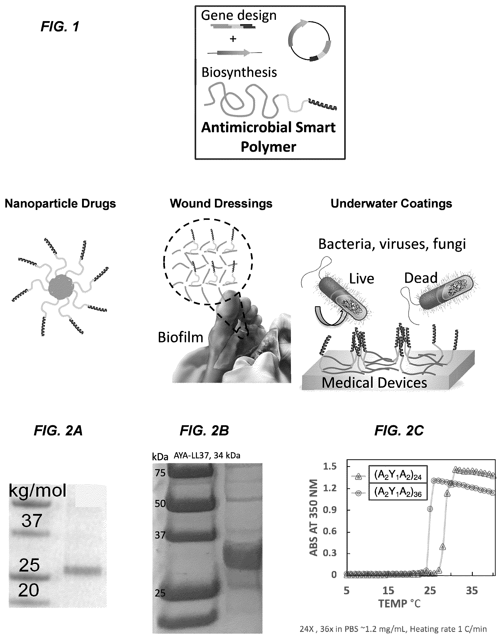 Patent US12377186 Figure 1 – Antimicrobial biopolymer compositions, methods of synthesis, and applications of use