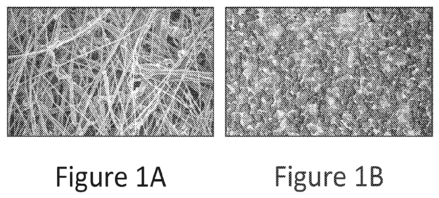 Patent US12377376 — Method and apparatus for enhanced separation and removal of contaminants and irradiated particulates from fluids — Figure 1