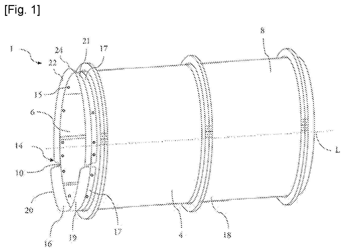 Patent US12377398 — Process for installing a section of packing in a casing — Figure 1