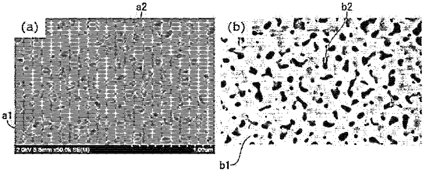 Patent US12377409 — Inorganic porous carrier, and production method for nucleic acid using same — Figure 1