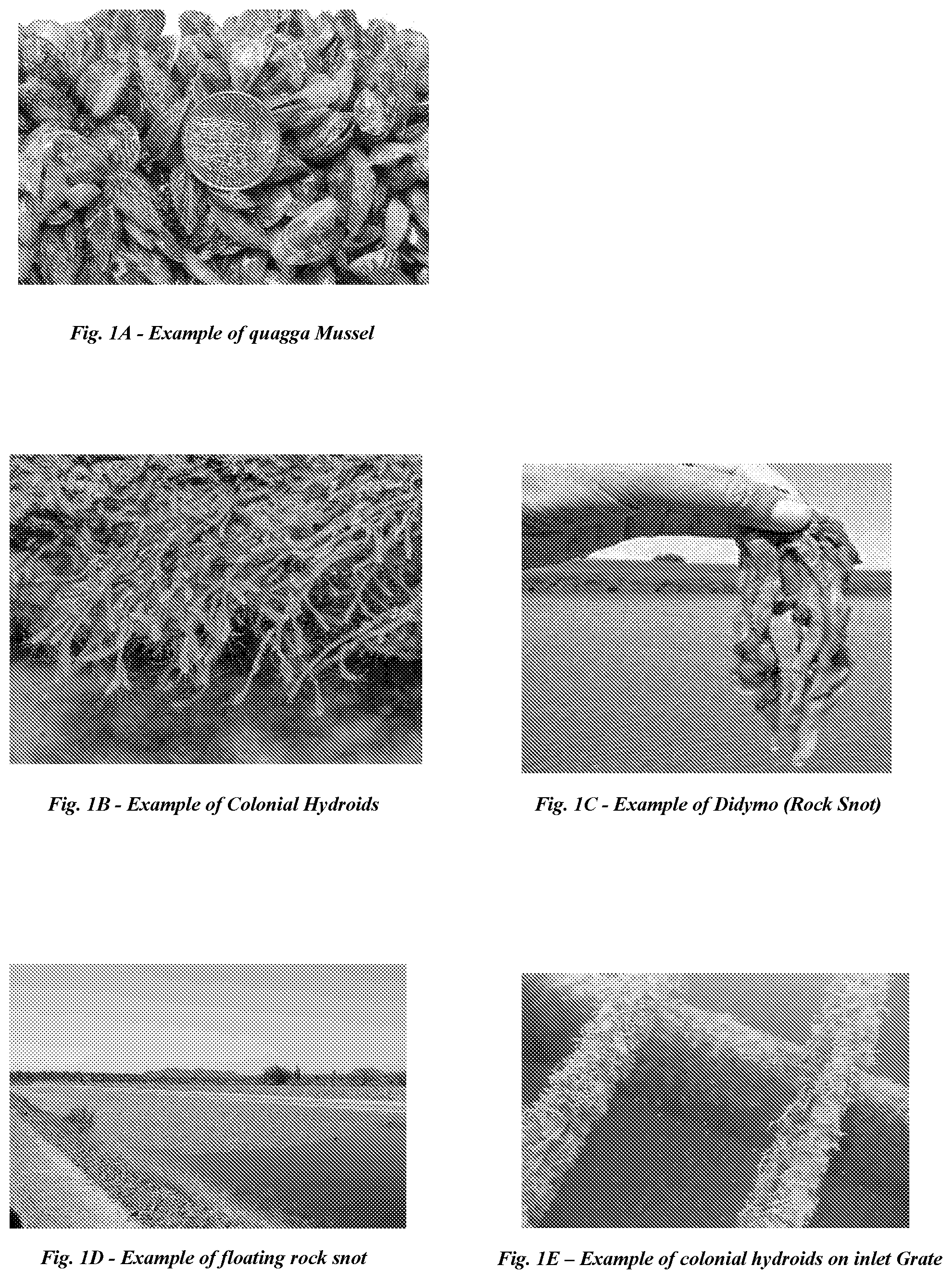 Patent US12378136 — Flow-through filtration and waste separation device — Figure 1
