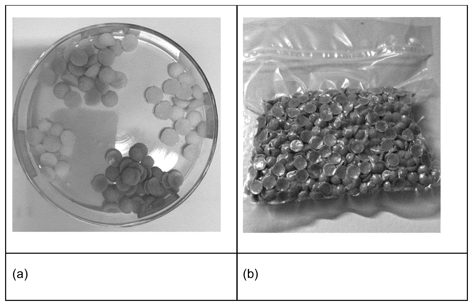 Patent US12378167 Figure 1 – NPK liquid and solid fertilizer, obtaining process, fertilizing compositions and use