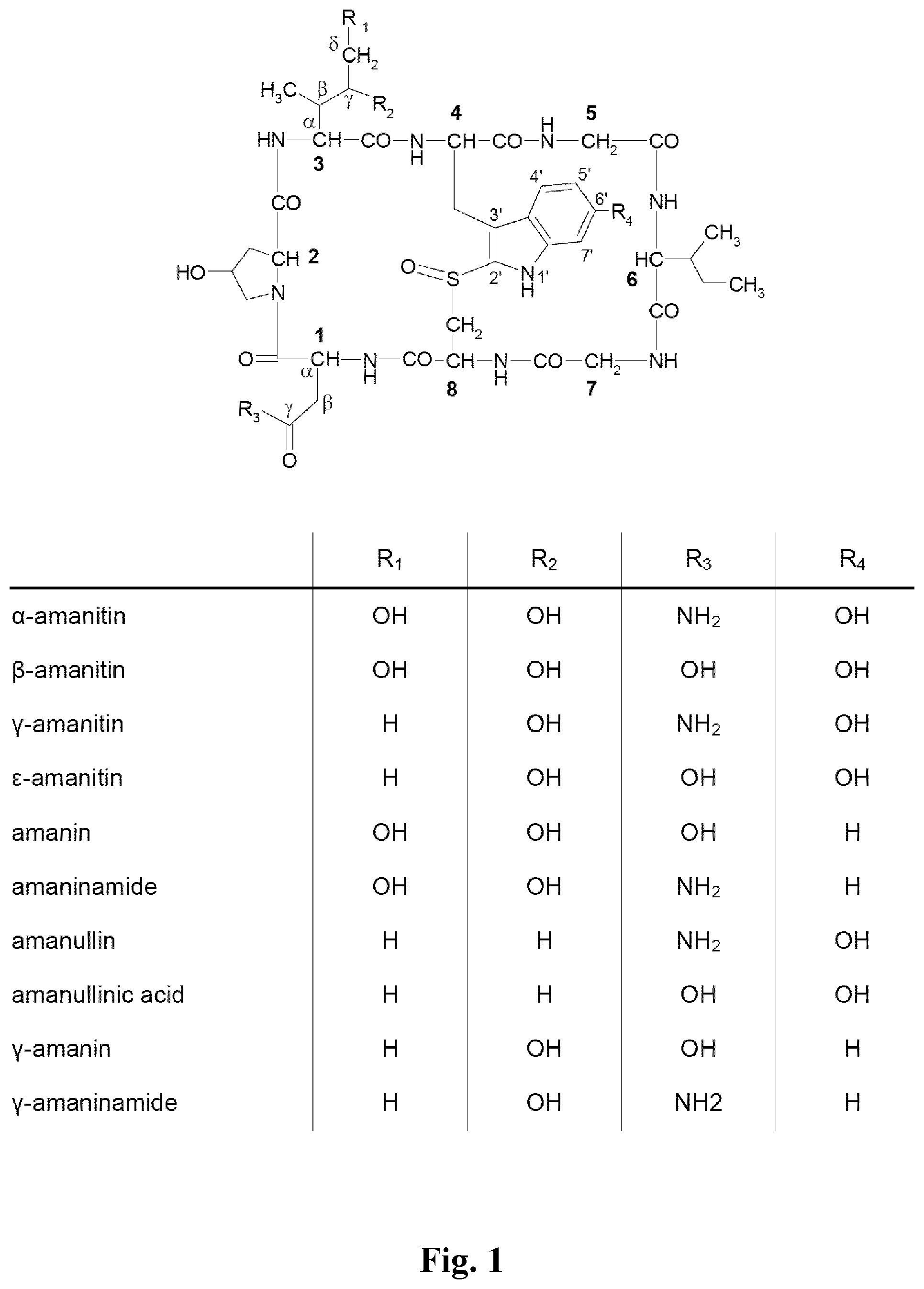 Patent US12378196 — Synthesis of (S)-6-hydroxytryptophan and derivatives thereof — Figure 1