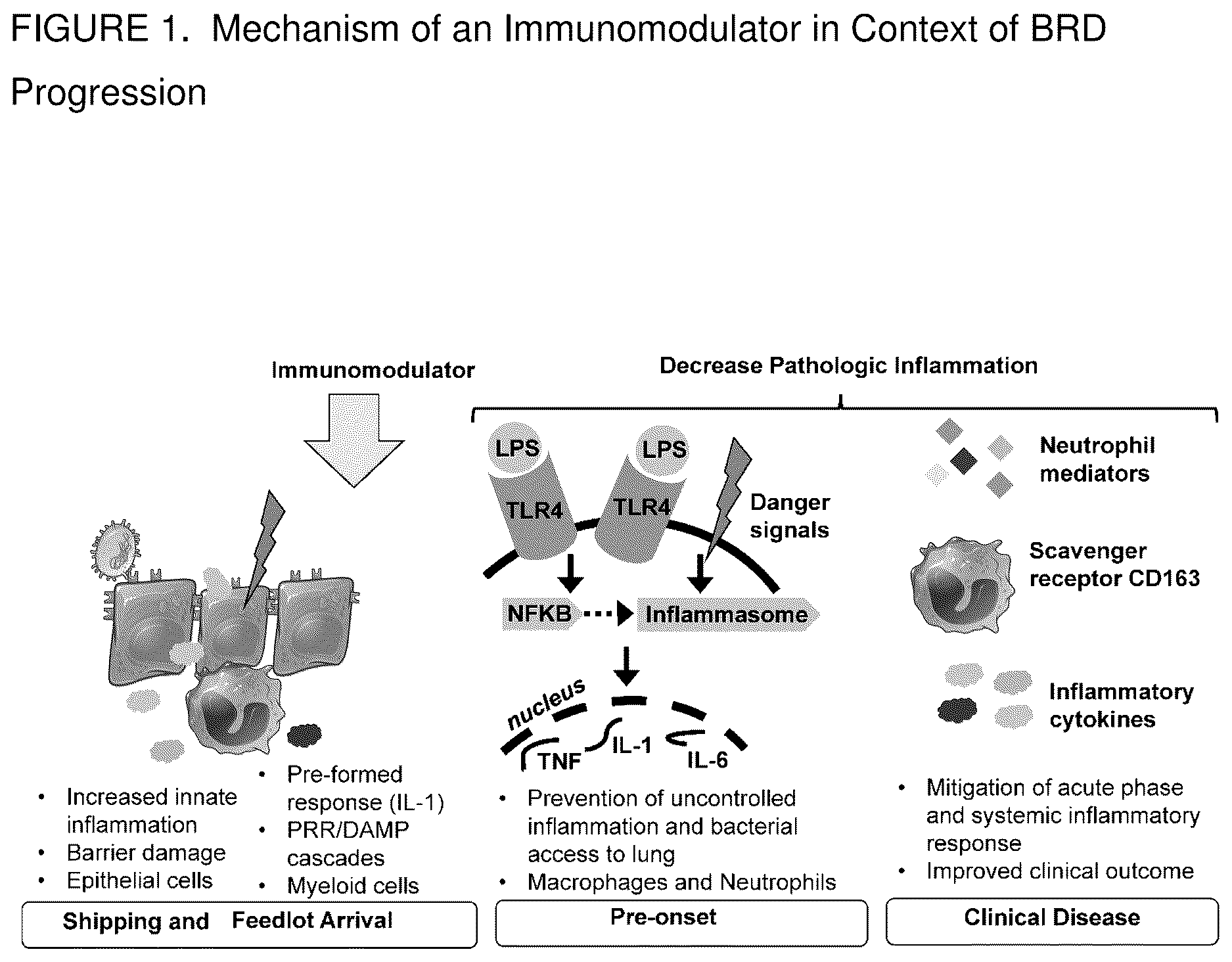 Patent US12378233 Figure 1 – Immunomodulating azalides