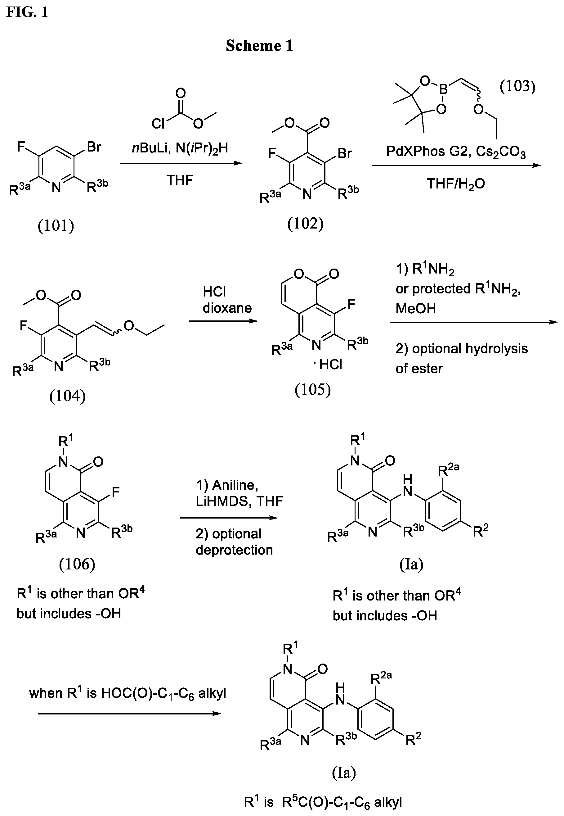 Patent US12378240 — Naphthyridinone-aniline compounds for treatment of dermal disorders — Figure 1