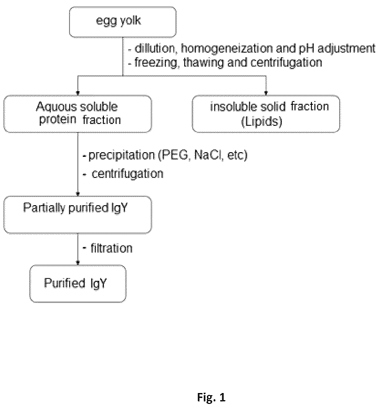 Patent US12378283 — Process for purifying an antibody from egg yolk, products and uses thereof — Figure 1