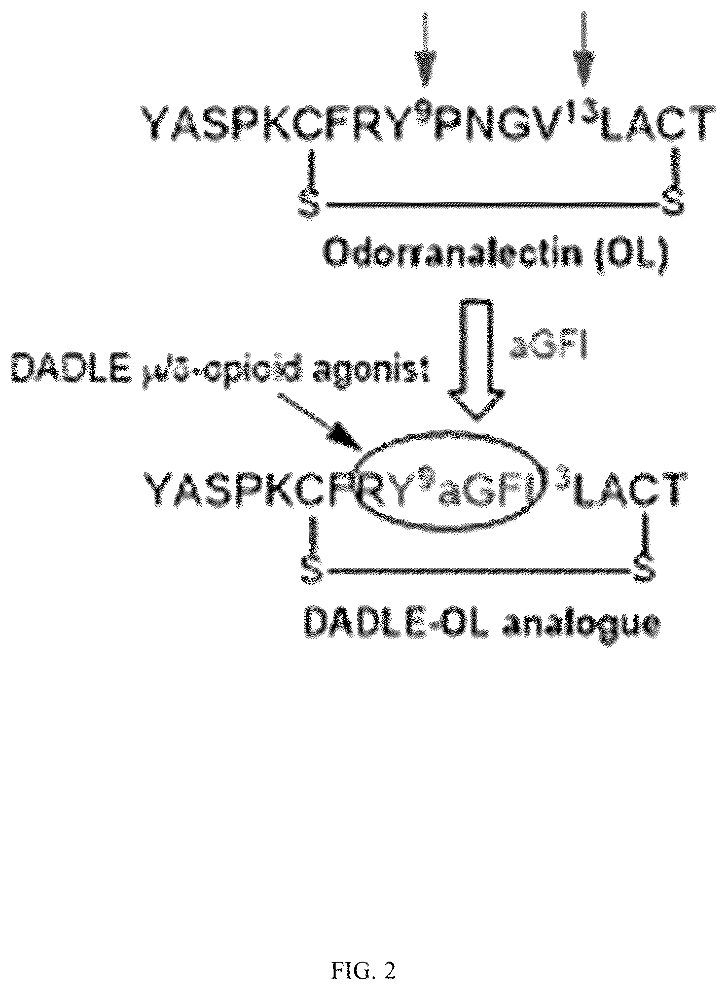 Patent US12378285 Figure 2 – Cyclic peptides and cyclic peptide conjugates for treating neurological disorders