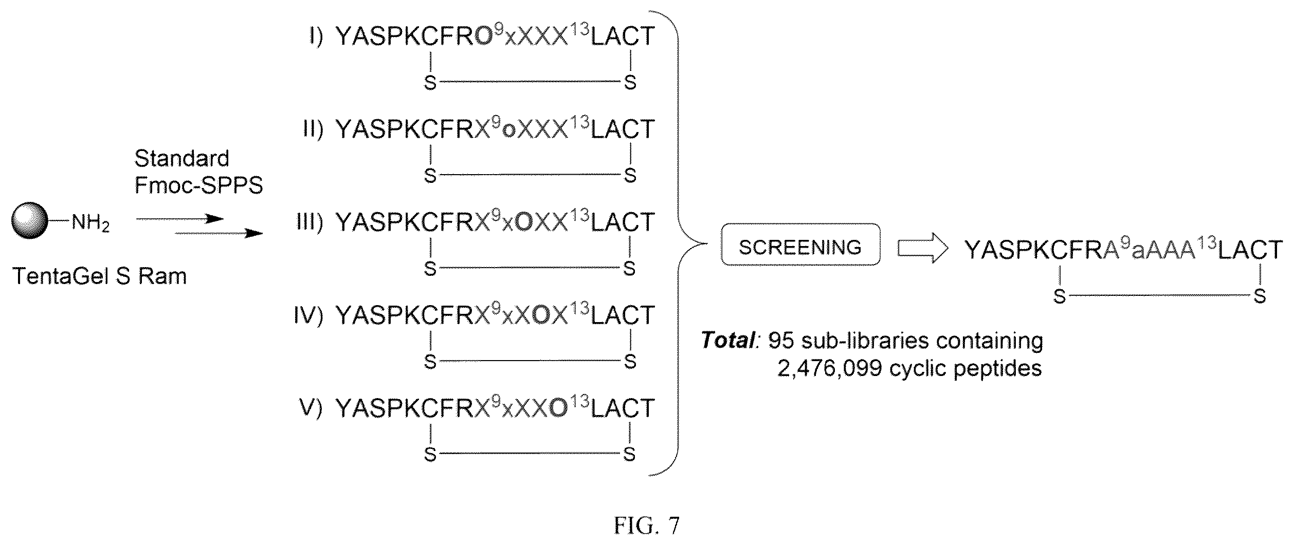 Patent US12378285 Figure 7 – Cyclic peptides and cyclic peptide conjugates for treating neurological disorders
