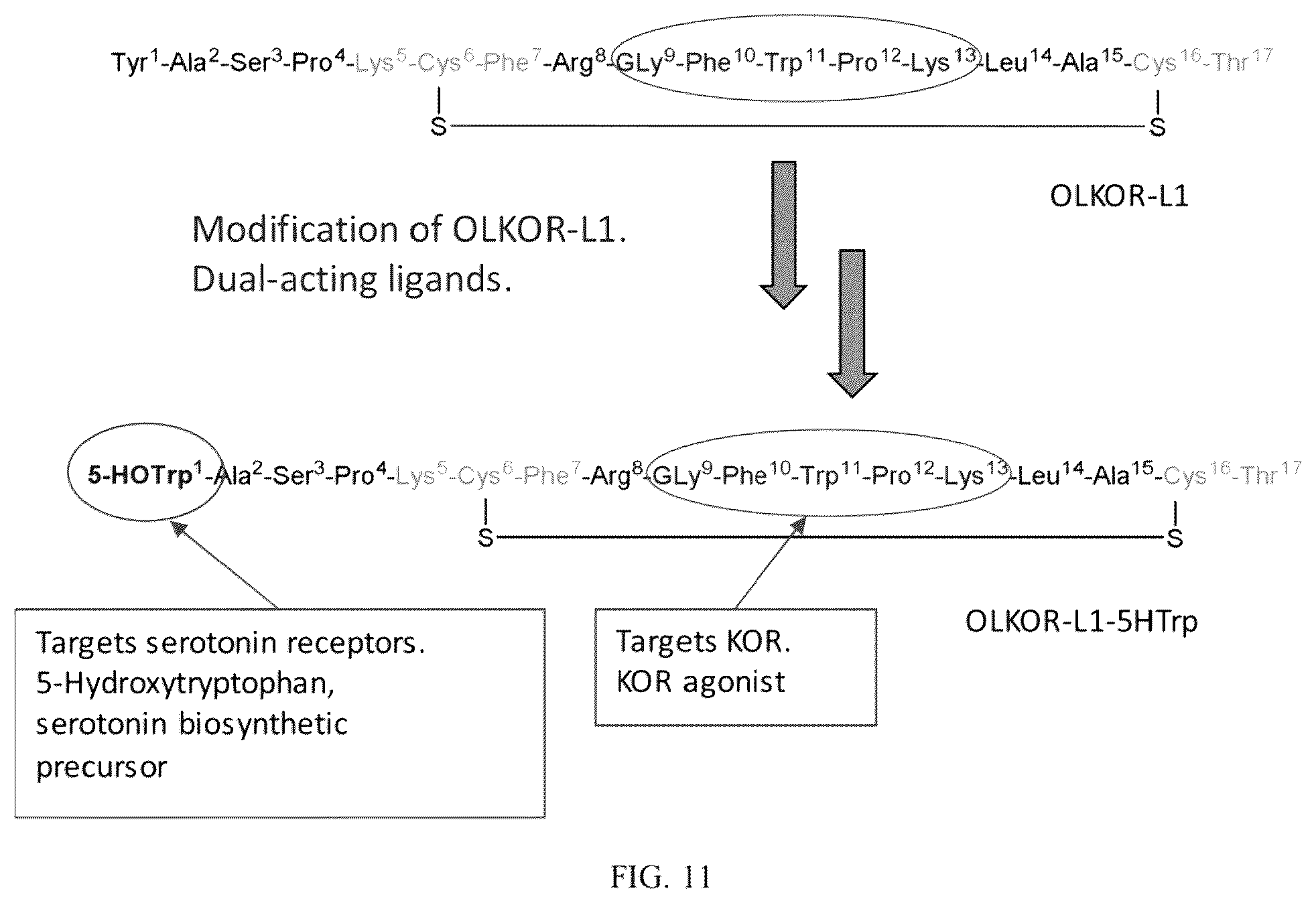 Patent US12378285 Figure 12 – Cyclic peptides and cyclic peptide conjugates for treating neurological disorders