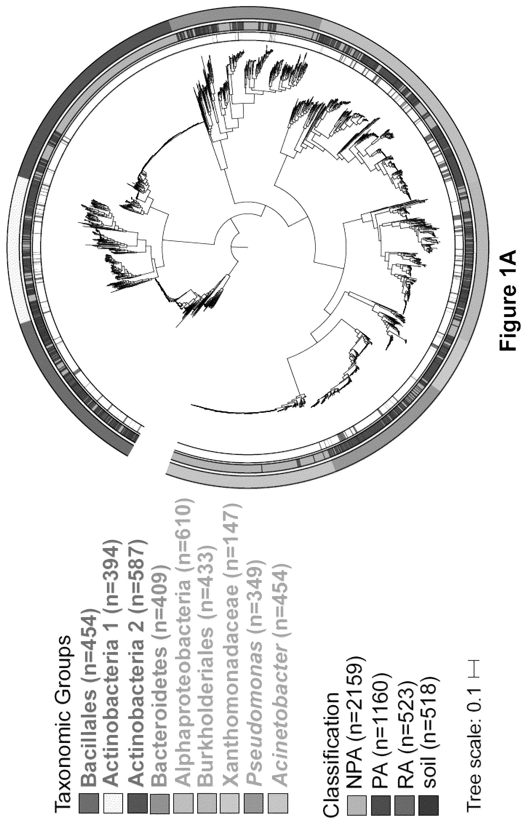 Patent US12378286 — Methods and compositions useful for inhibiting growth of certain bacteria — Figure 1