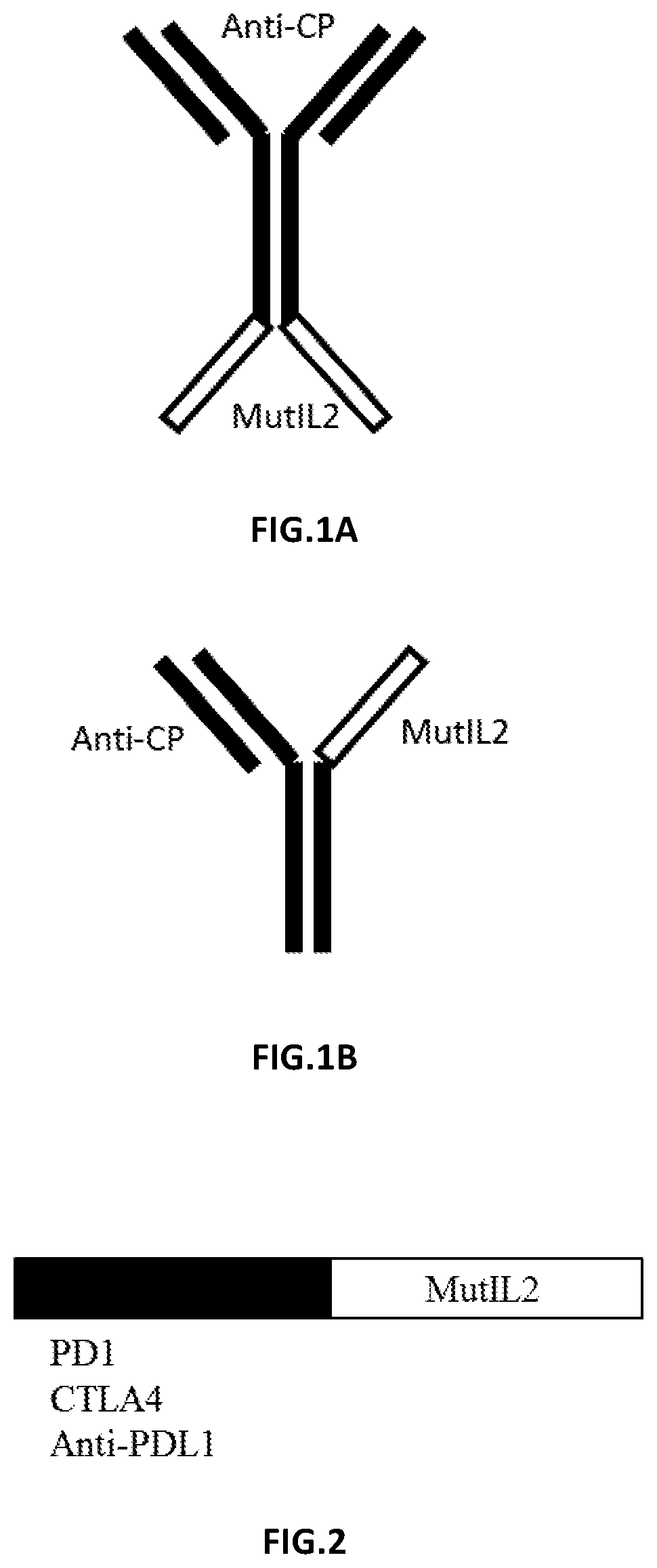 Patent US12378295 — Rationally designed protein compositions — Figure 1
