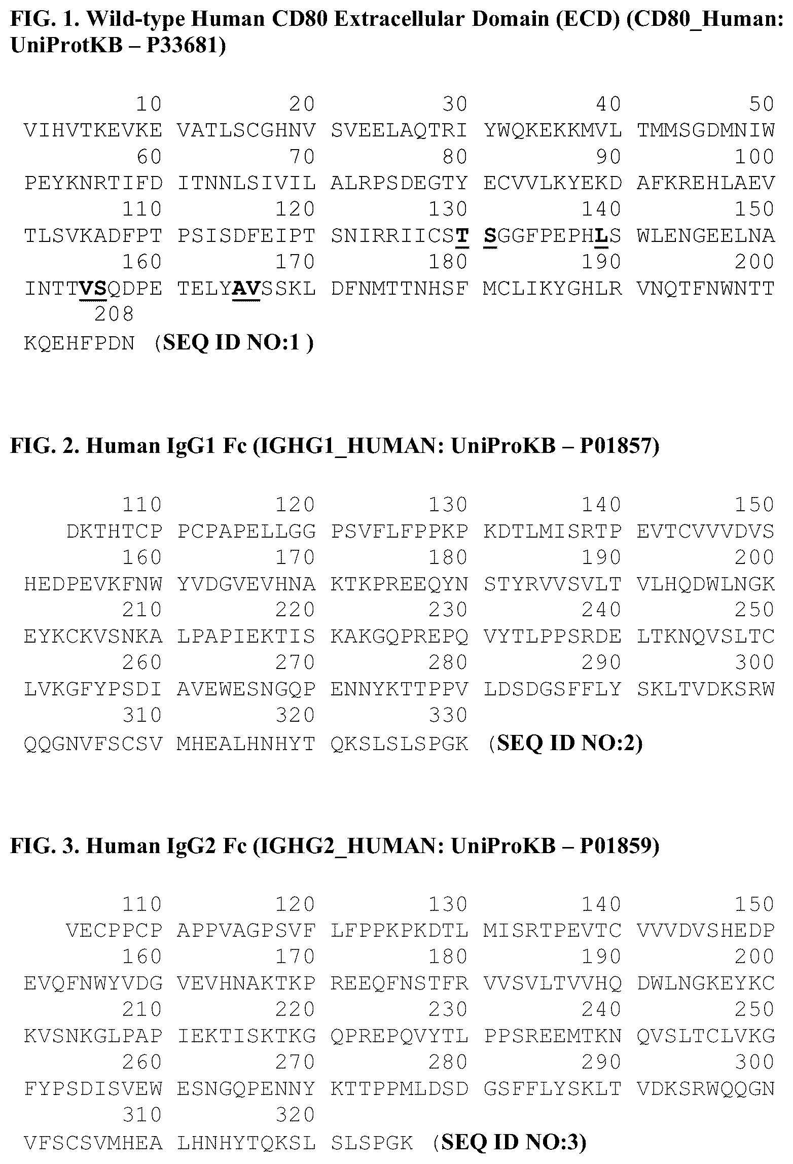 Patent US12378299 — CD80 variant proteins and uses thereof — Figure 1
