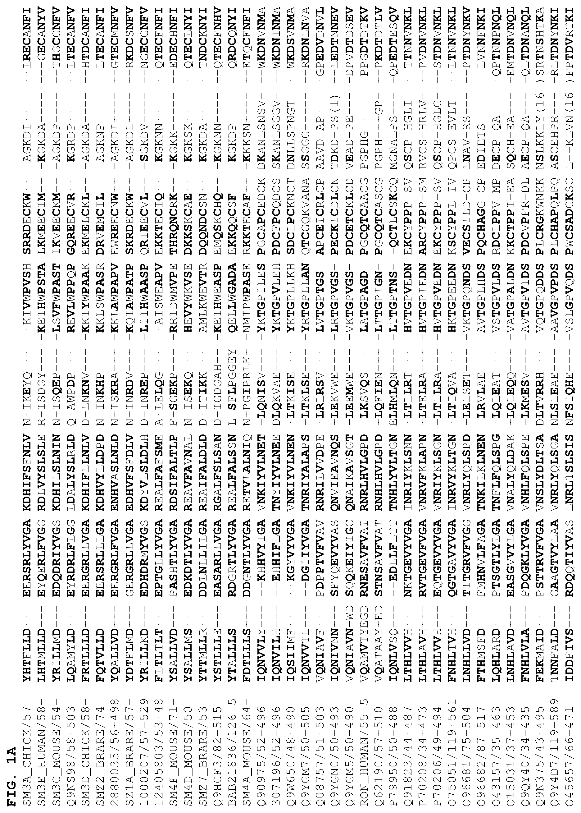 Patent US12378301 — B1SP fusion protein therapeutics, methods, and uses — Figure 1