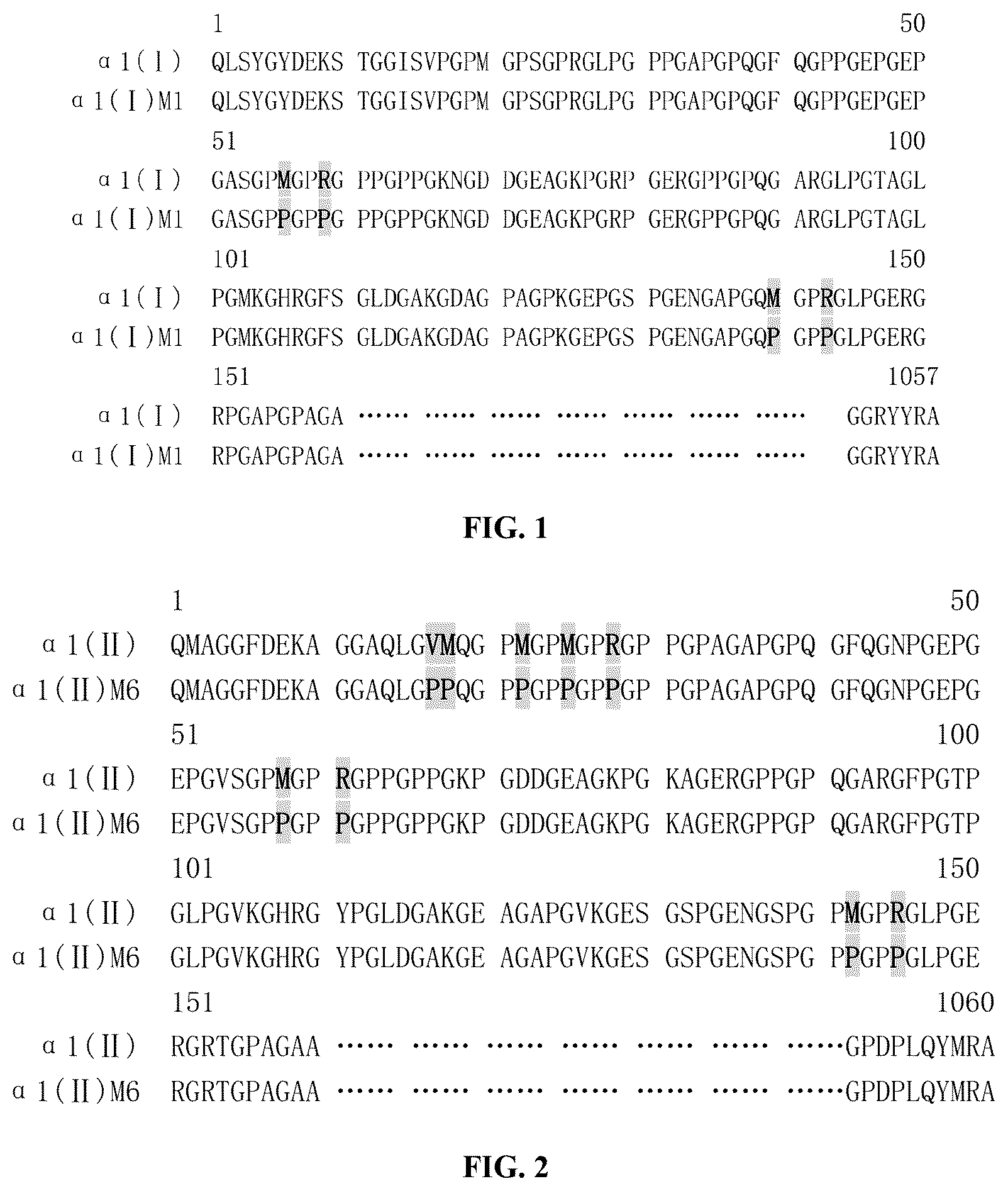Patent US12378303 — Recombinant collagen and preparation method and use thereof — Figure 1
