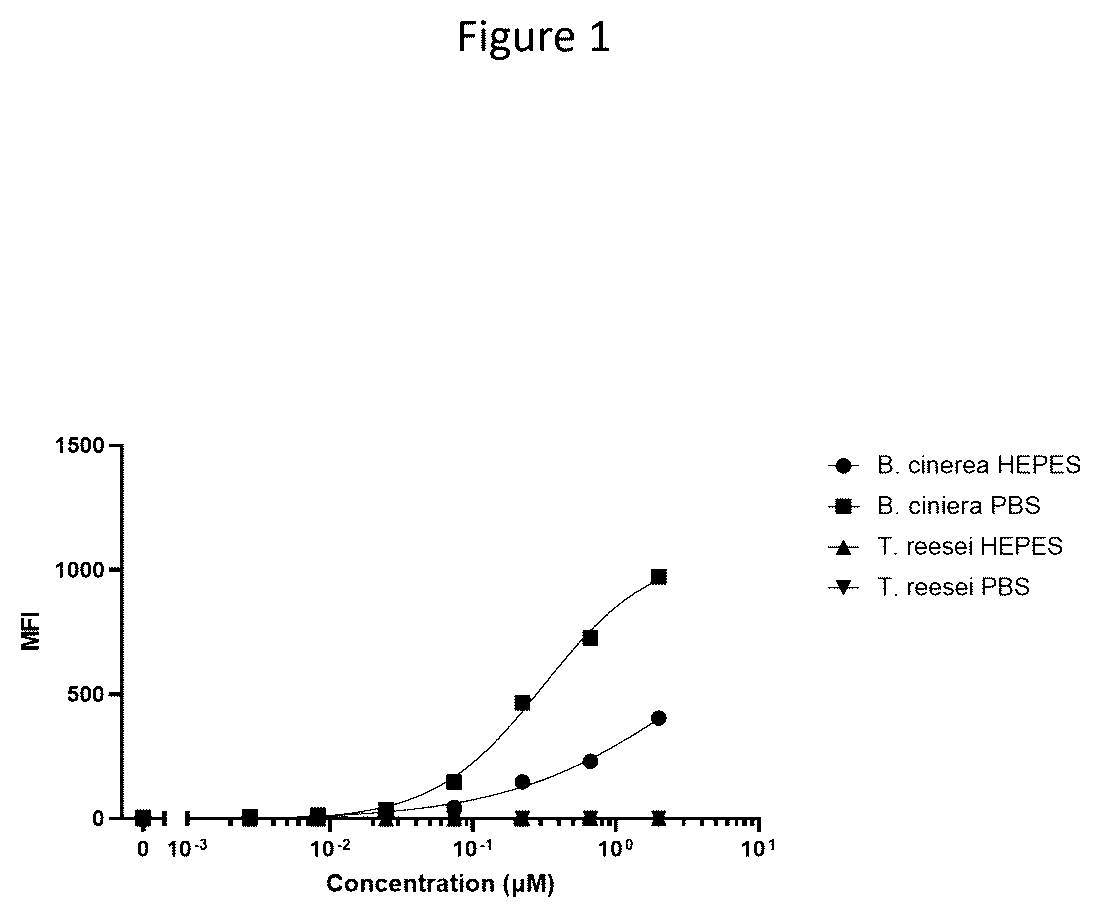 Patent US12378306 — Anti-fungal VHH antibodies — Figure 1