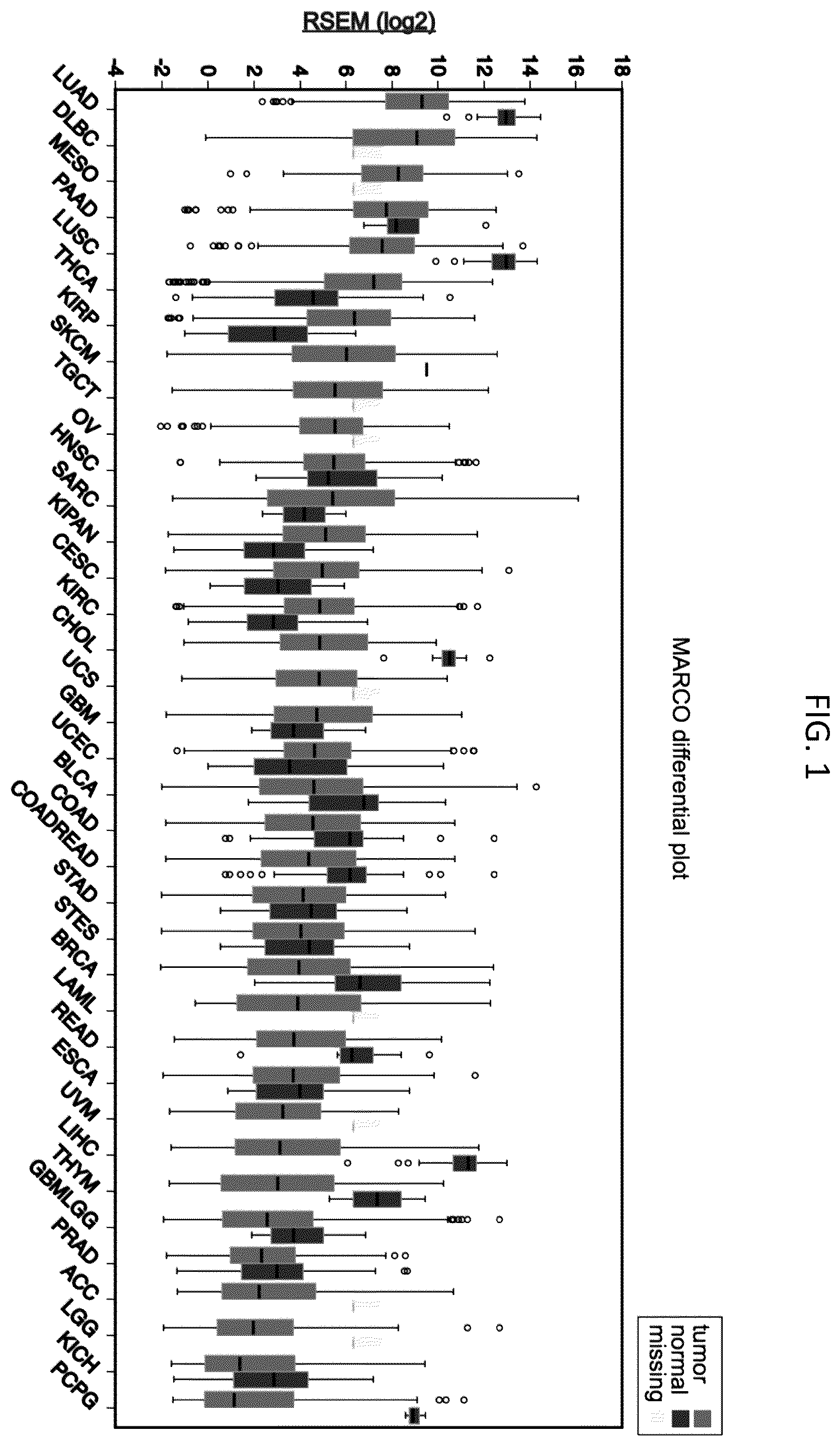Patent US12378311 — Anti-MARCO antibodies and uses thereof — Figure 1