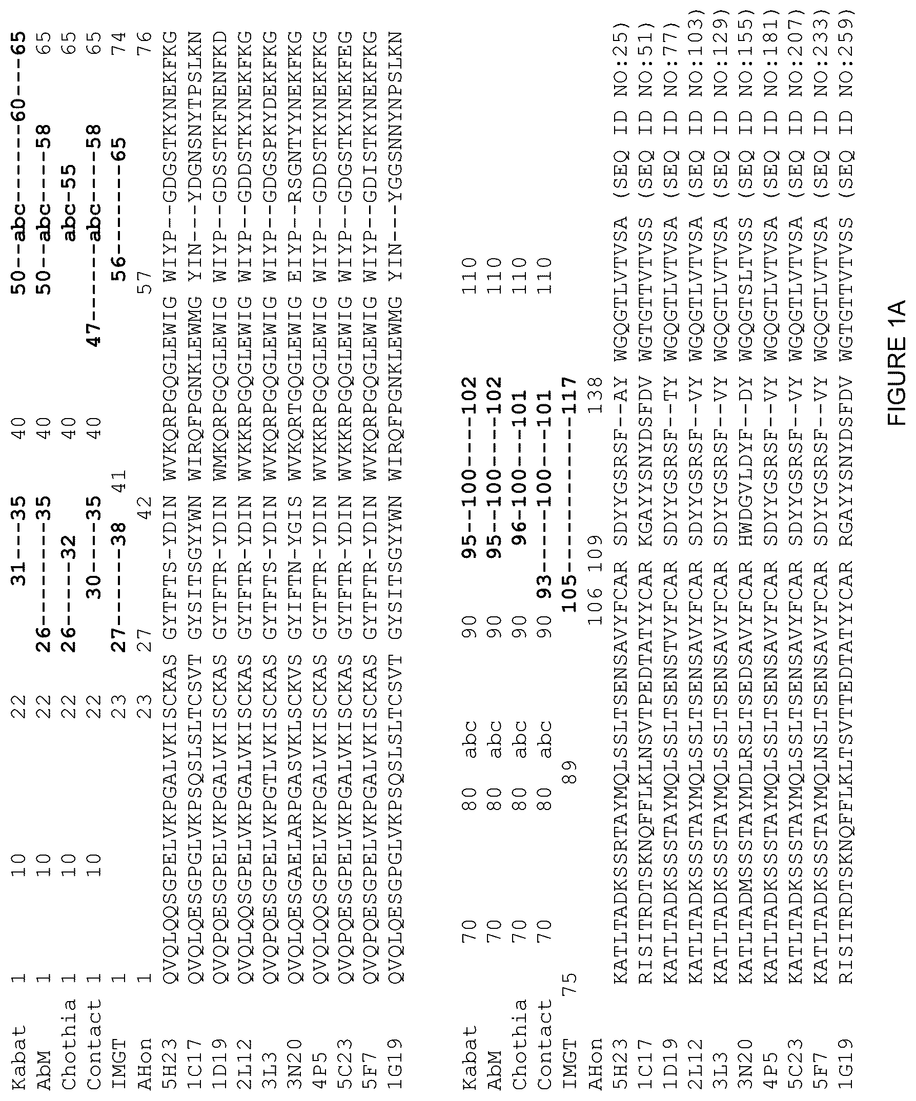 Patent US12378312 — Polynucleotides encoding human beta klotho antibodies or binding fragments thereof and methods of use thereof — Figure 1