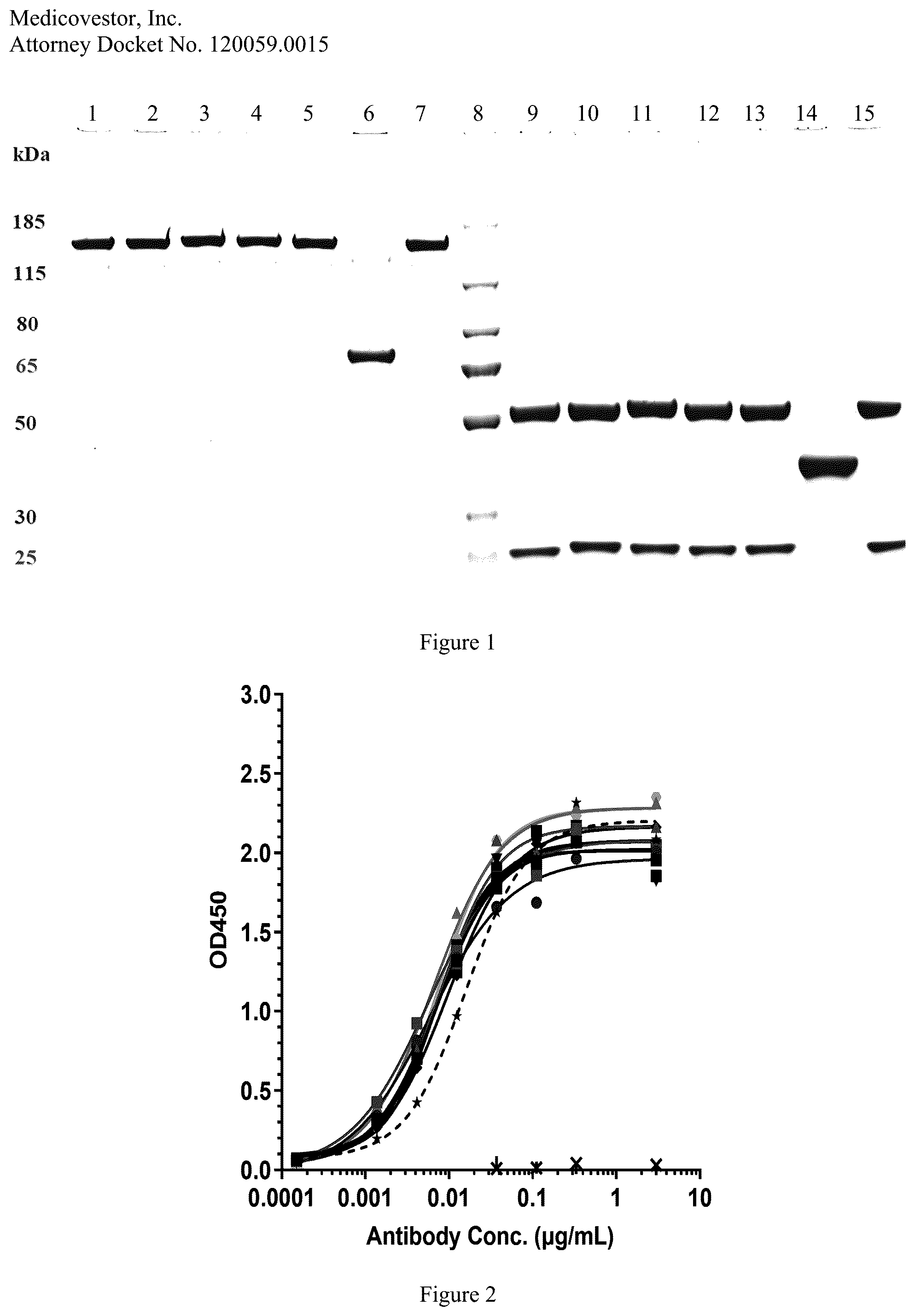 Patent US12378314 — Proteins that bind folate receptor alpha including fully-human antibodies — Figure 1