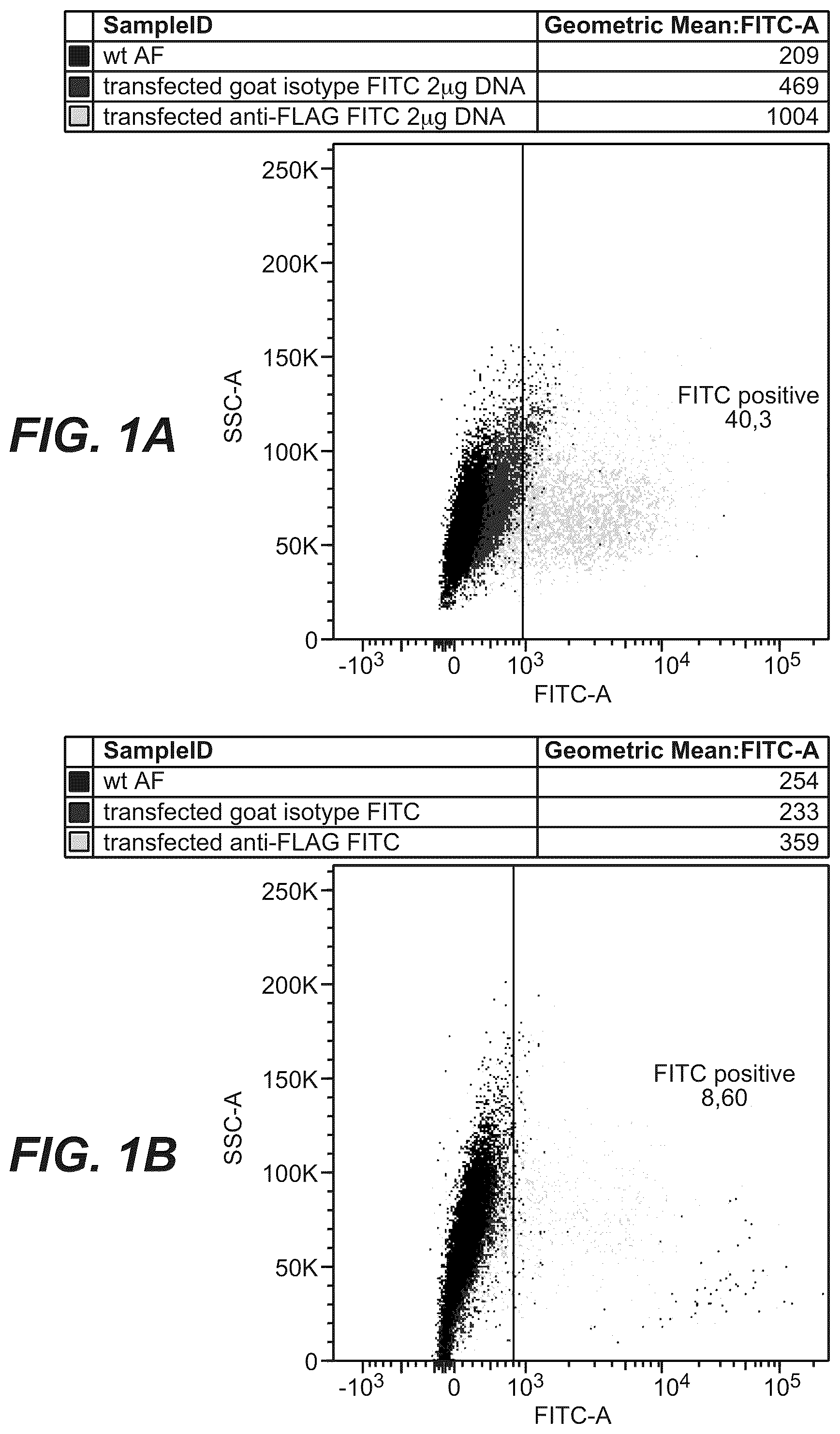 Patent US12378315 — Anti-rabbit CD19 antibodies and methods of use — Figure 1