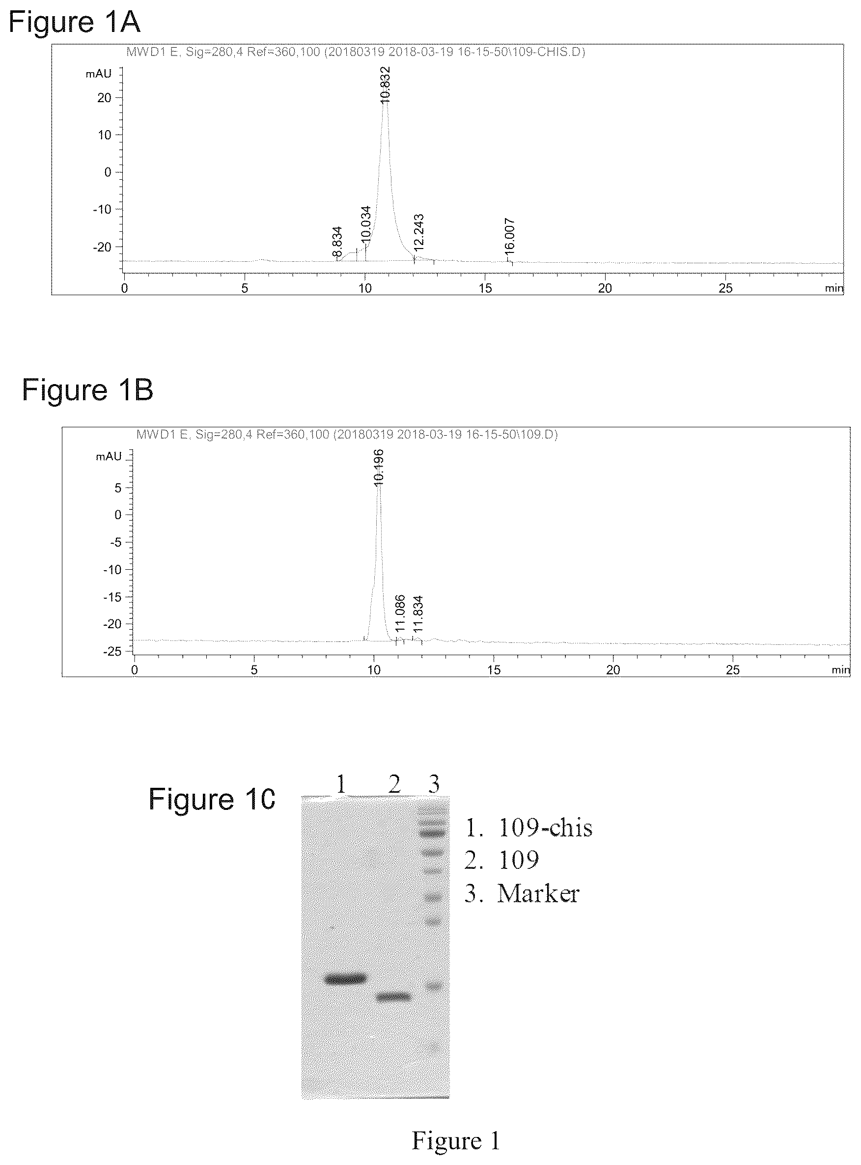 Patent US12378317 — PD-L 1-binding polypeptide and use thereof — Figure 1