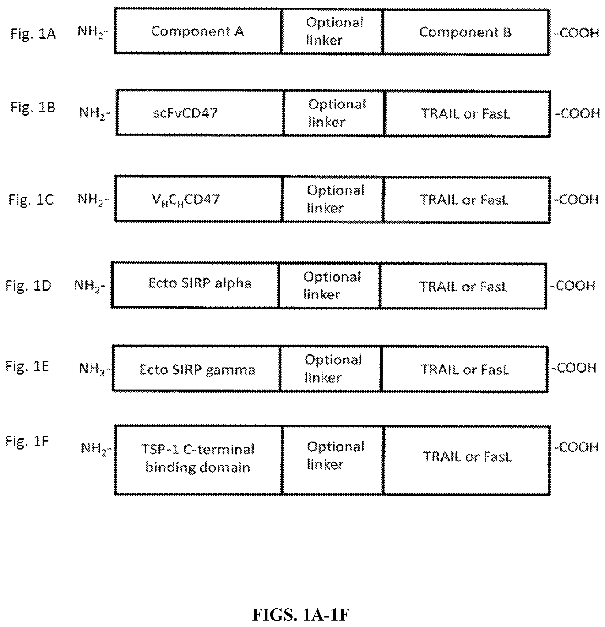 Patent US12378322 — Fusion proteins that facilitate cancer cell destruction — Figure 1