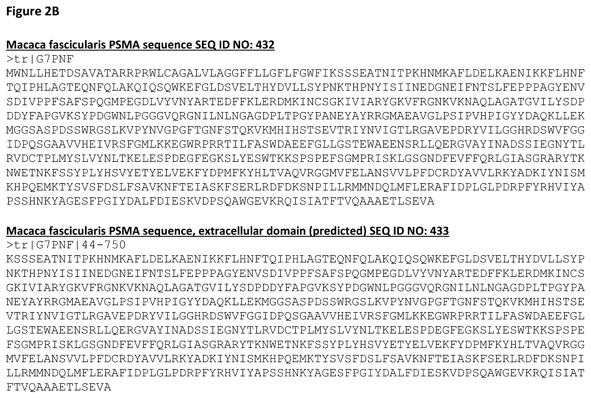 Patent US12378326 Figure 4 – Anti-CD28 x anti-PSMA antibodies