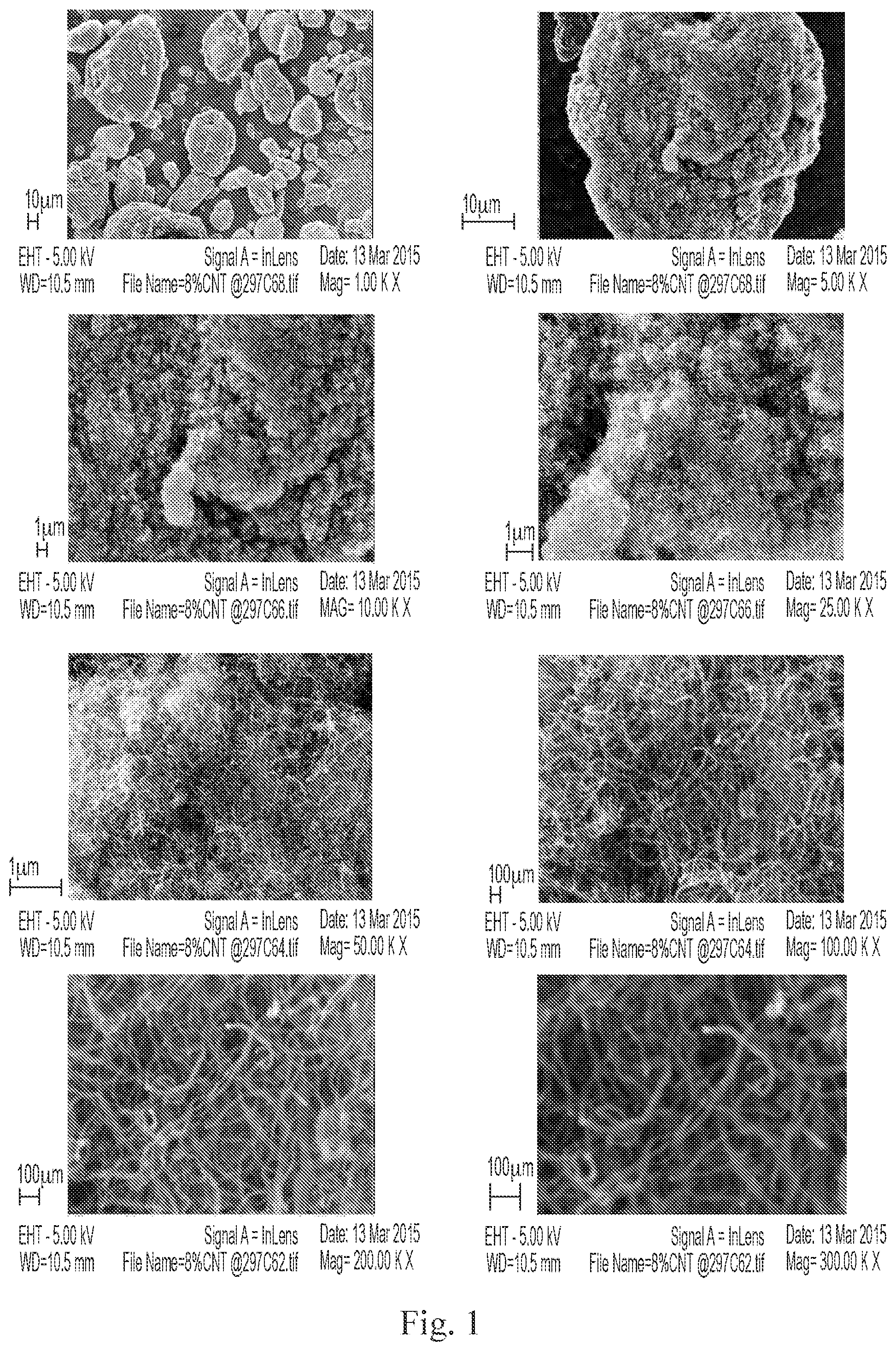Patent US12378375 Figure 1 – In situ bonding of carbon fibers and nanotubes to polymer matrices
