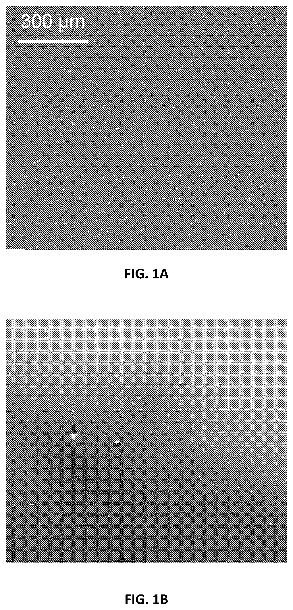 Patent US12378390 — Methods for improving nanocellulose dispersion in elastomeric compounds, and compositions containing dispersed nanocellulose in elastomer compounds — Figure 1