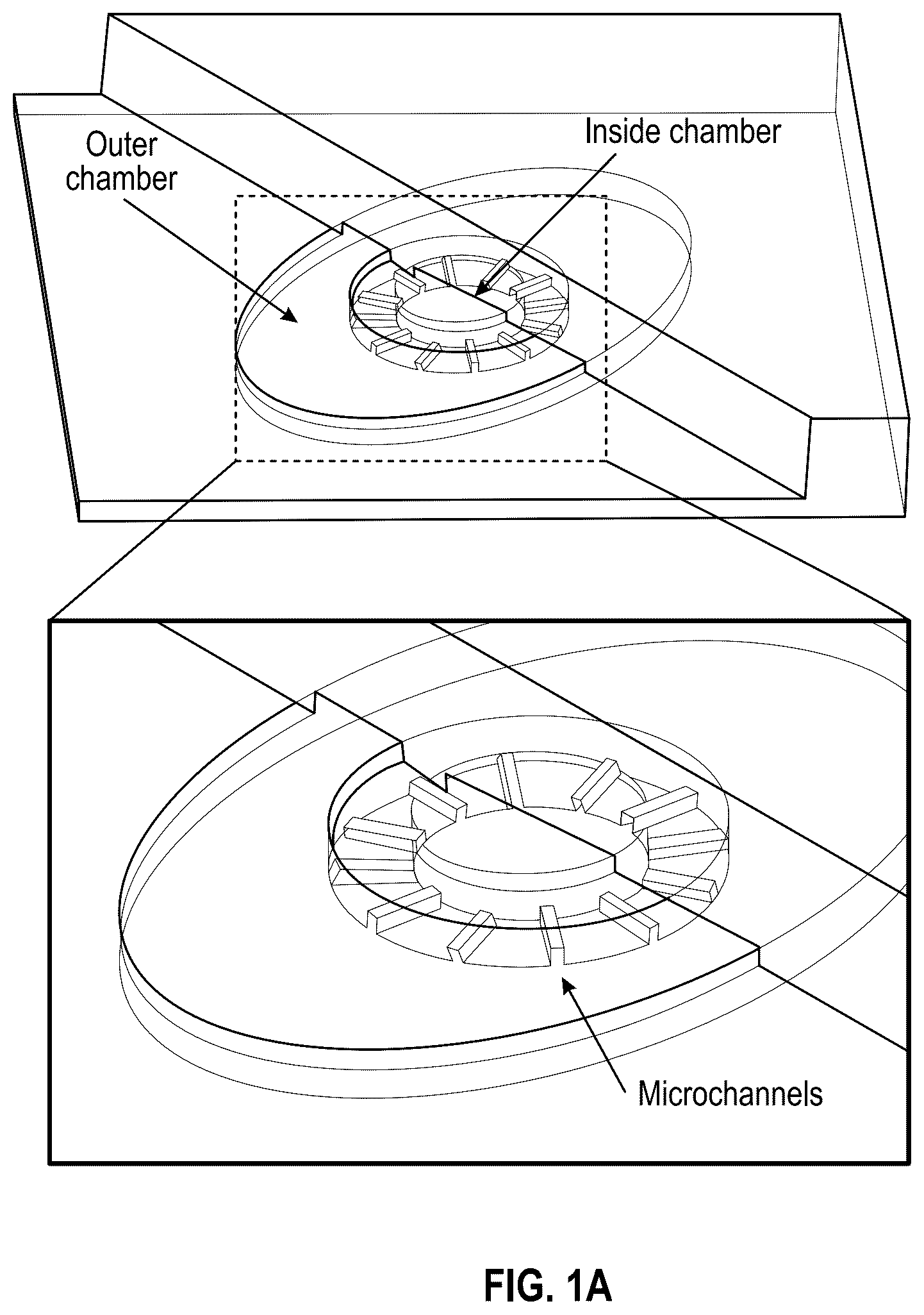 Patent US12378508 — Organ-on-chips that mimic human pregnancy and parturition — Figure 1