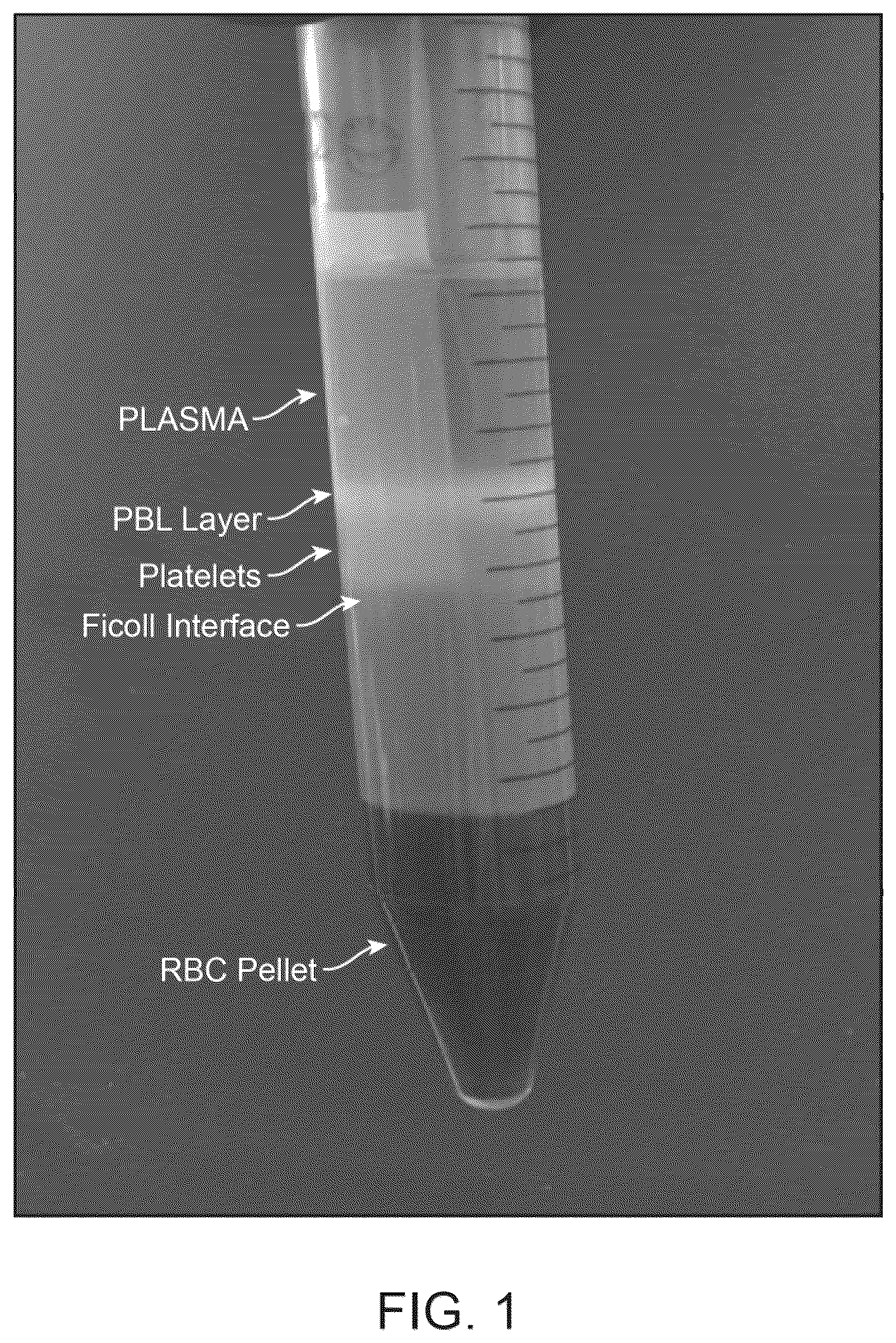 Patent US12378522 — Cell therapy compositions and methods of use thereof — Figure 1