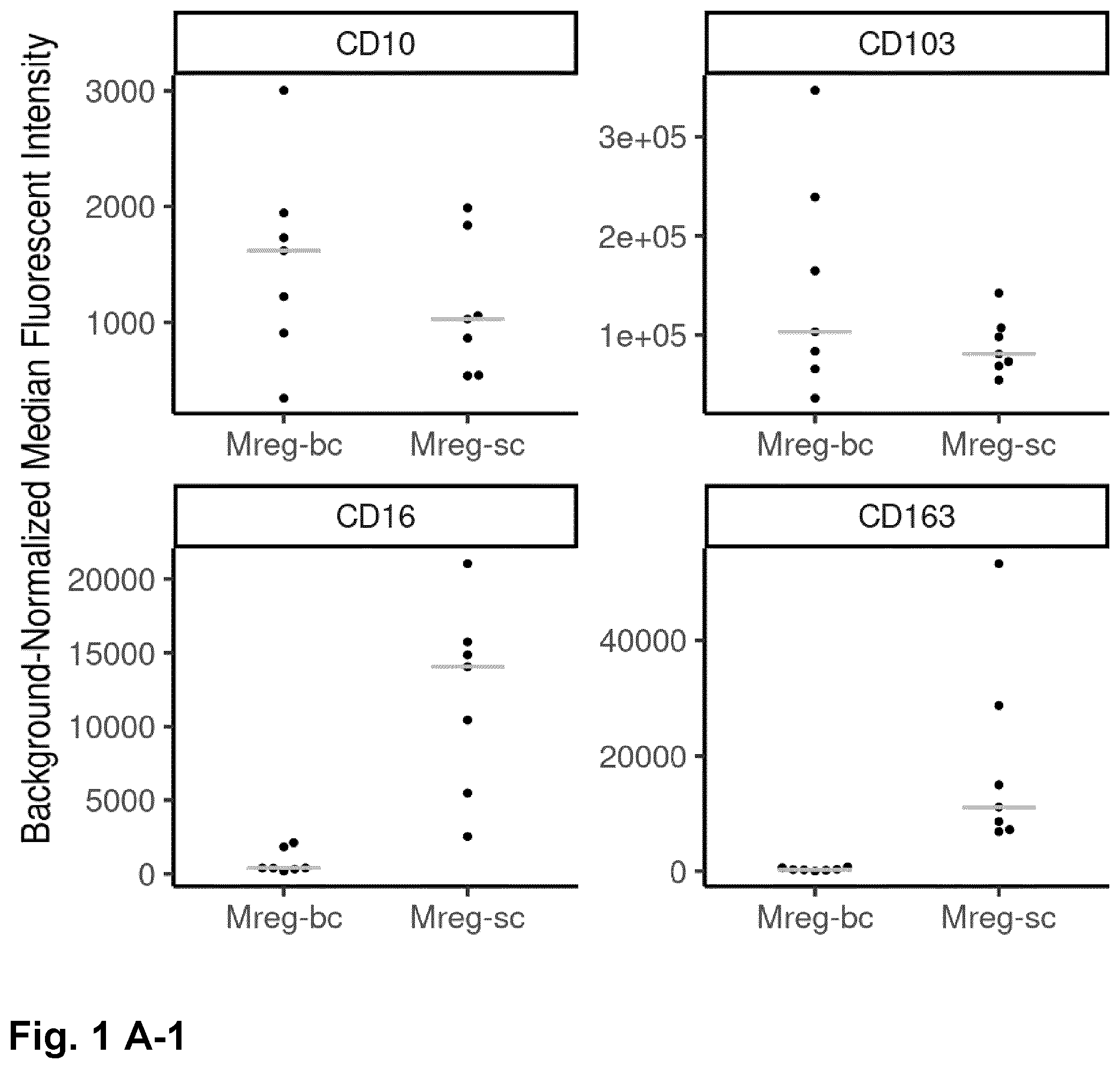 Patent US12378525 — Regulatory macrophages and uses thereof — Figure 1