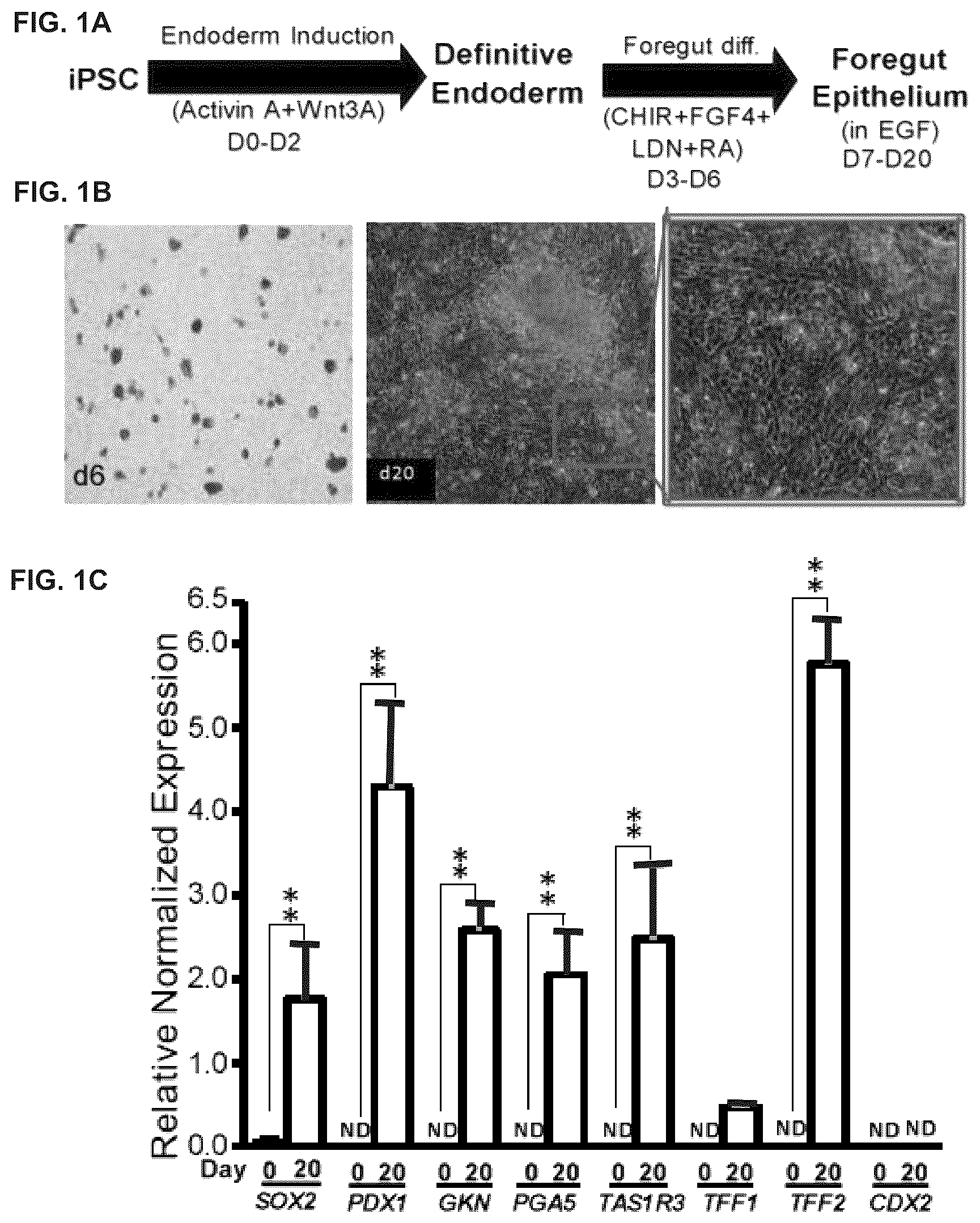 Patent US12378528 — Systems and methods for growth of intestinal cells in microfluidic devices — Figure 1