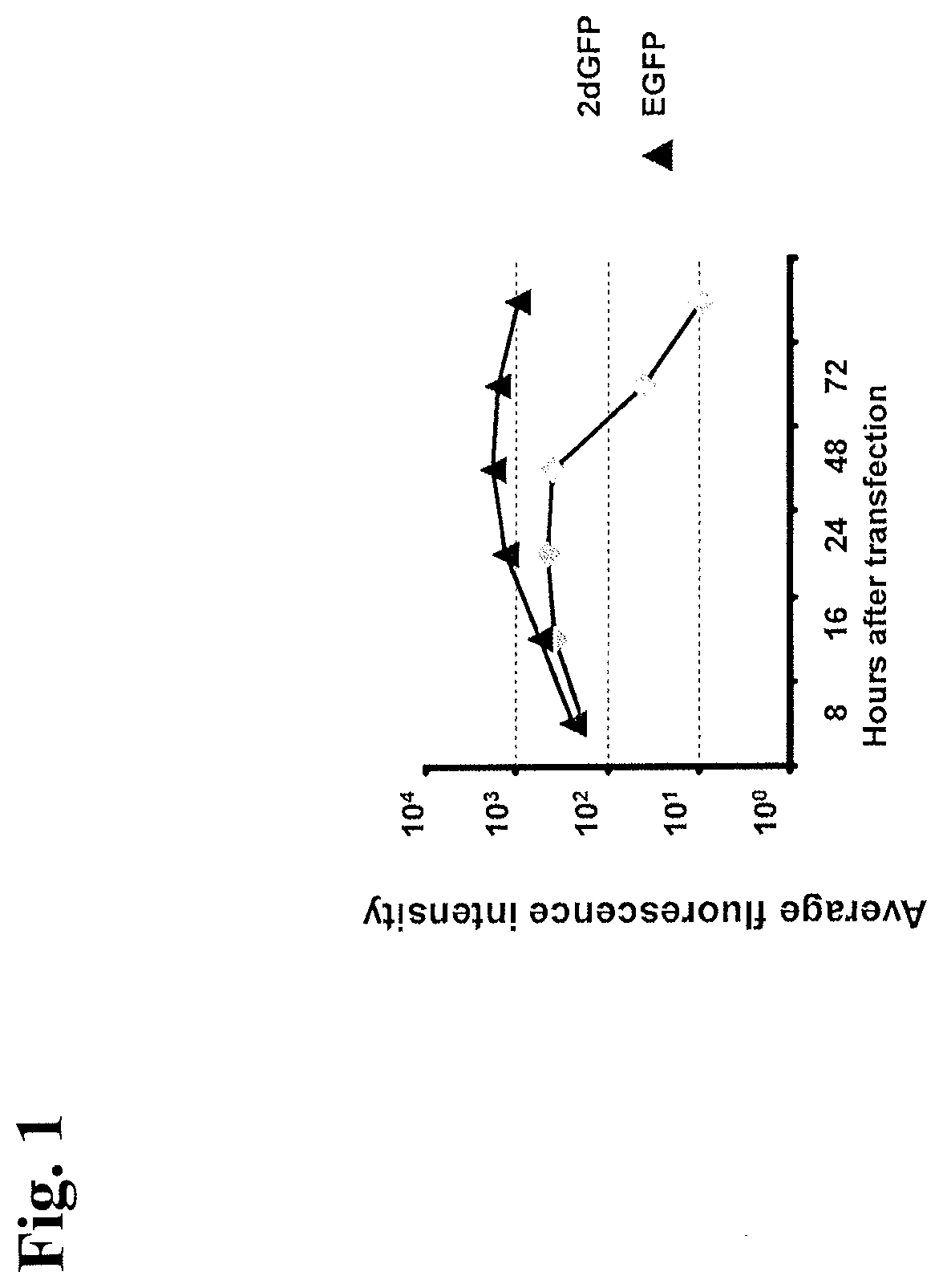 Patent US12378531 — Use of RNA for reprogramming somatic cells — Figure 1