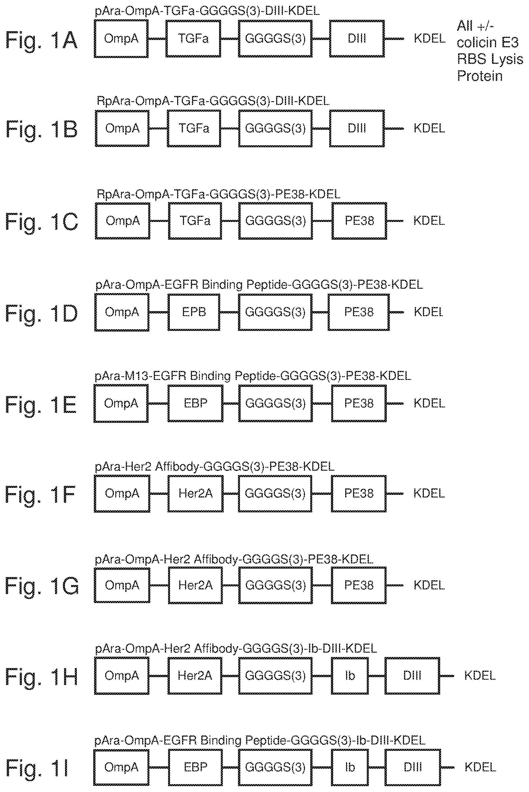 Patent US12378536 — Chimeric protein toxins for expression by therapeutic bacteria — Figure 1