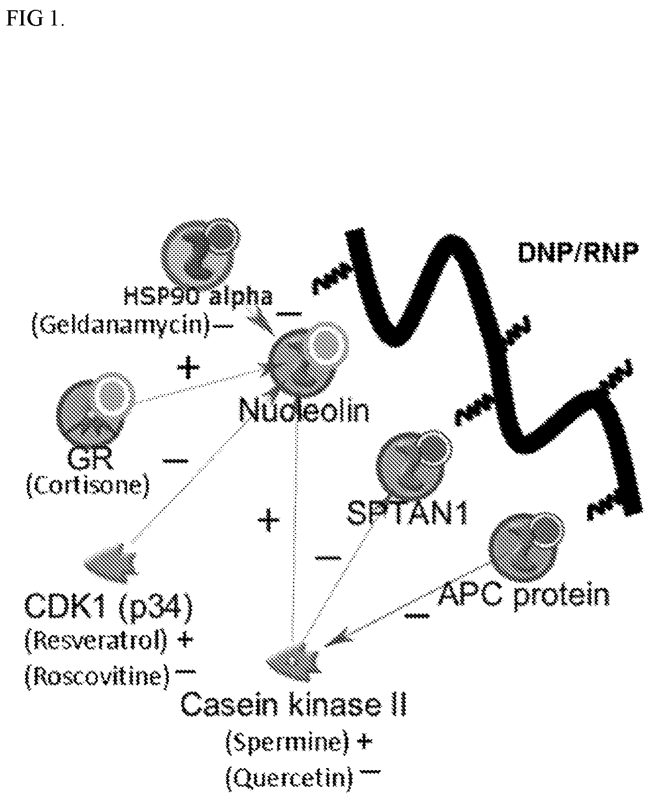Patent US12378550 — Compositions and methods for nucleic acid transfer — Figure 1