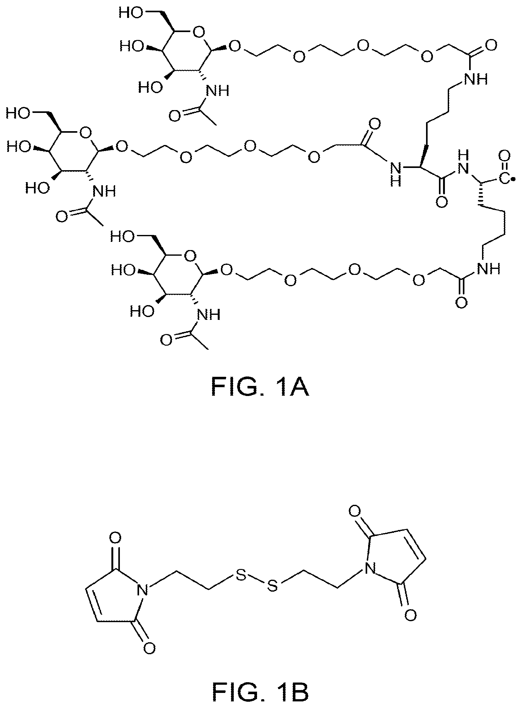Patent US12378551 — Multimeric oligonucleotides having decreased kidney clearance — Figure 1