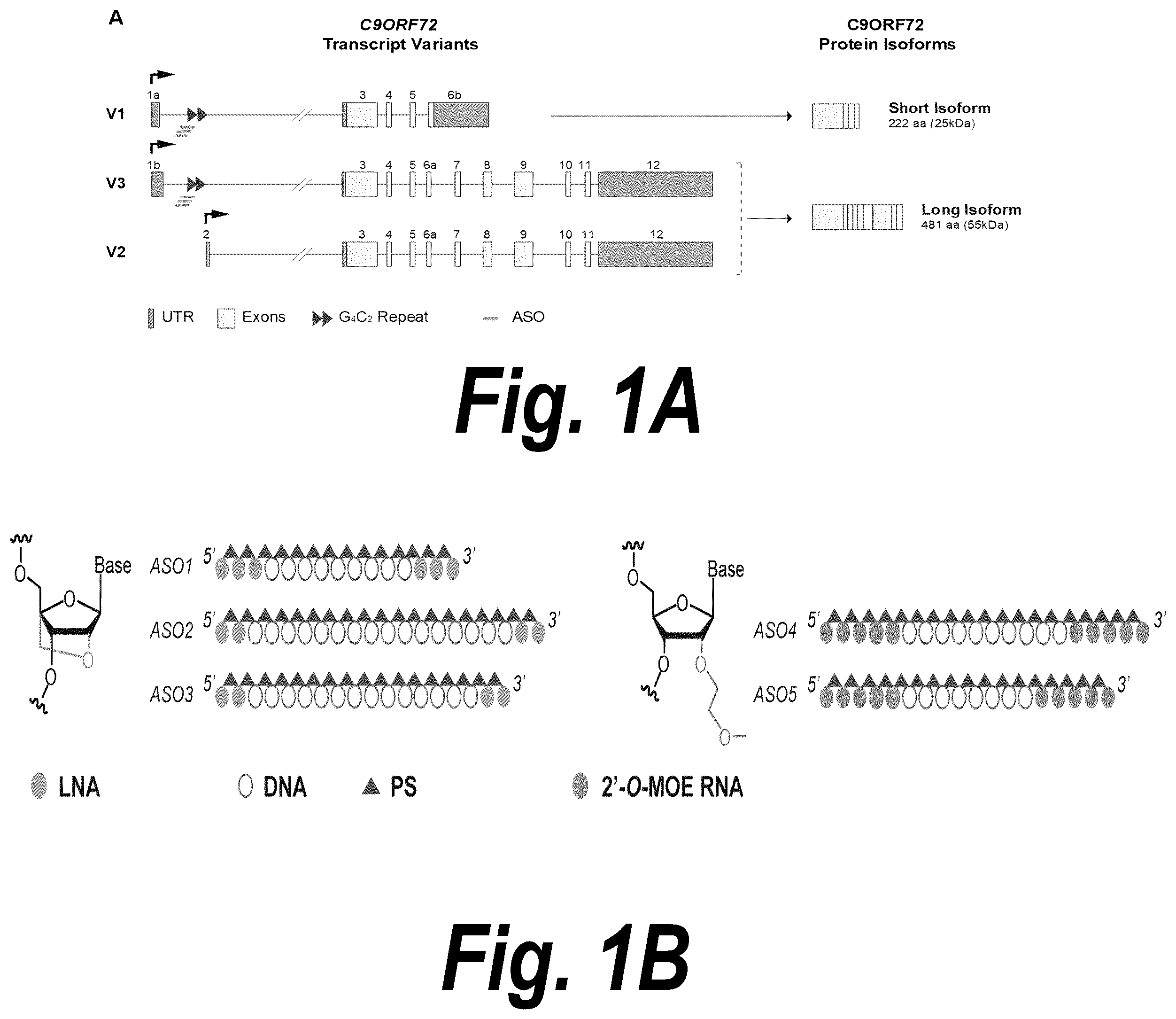 Patent US12378554 — Anti-C9ORF72 oligonucleotides and related methods — Figure 1