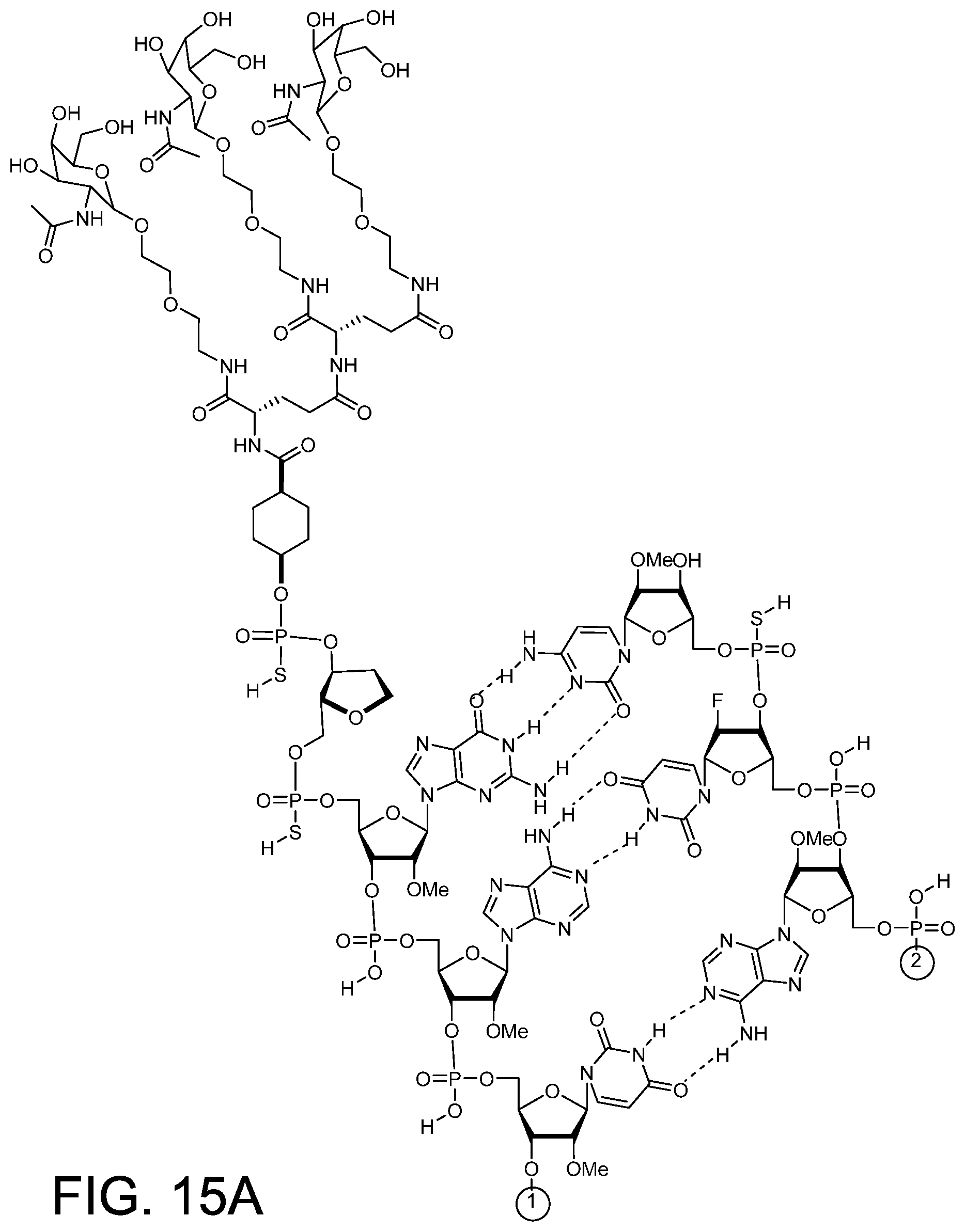 Patent US12378558 Figure 8 – RNAi agents for inhibiting expression of complement factor B (CFB), pharmaceutical compositions thereof, and methods of use