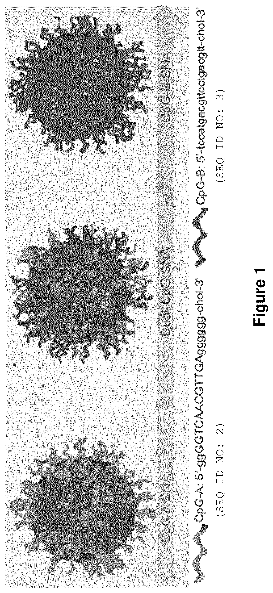 Patent US12378560 — Sequence multiplicity within spherical nucleic acids — Figure 1