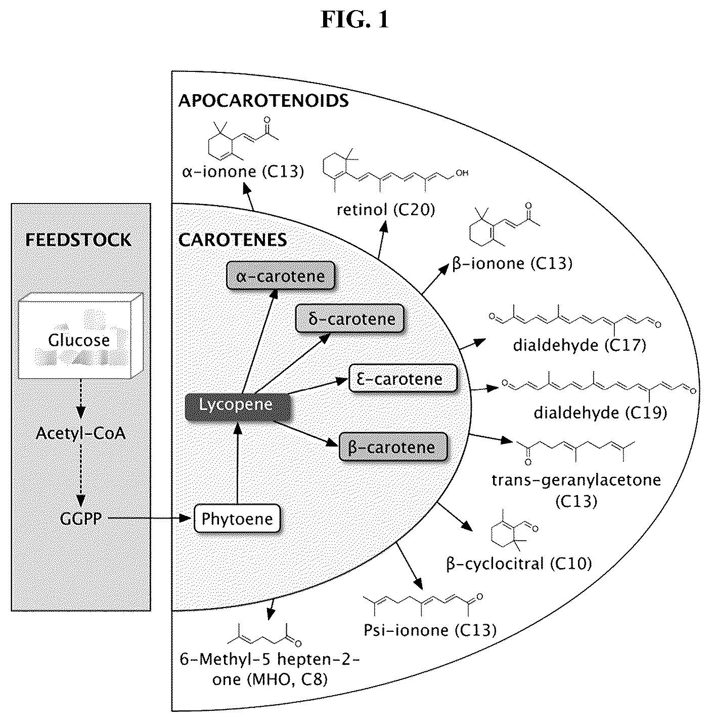 Patent US12378561 Figure 1 – Production of carotenoids and apocarotenoids
